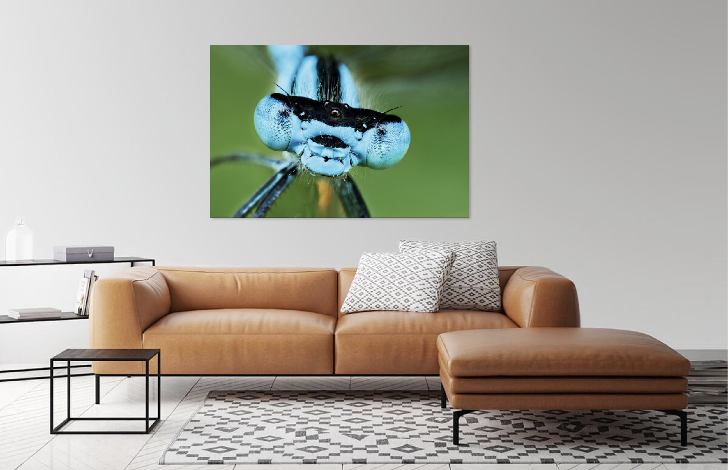 Damselfly 3.jpg