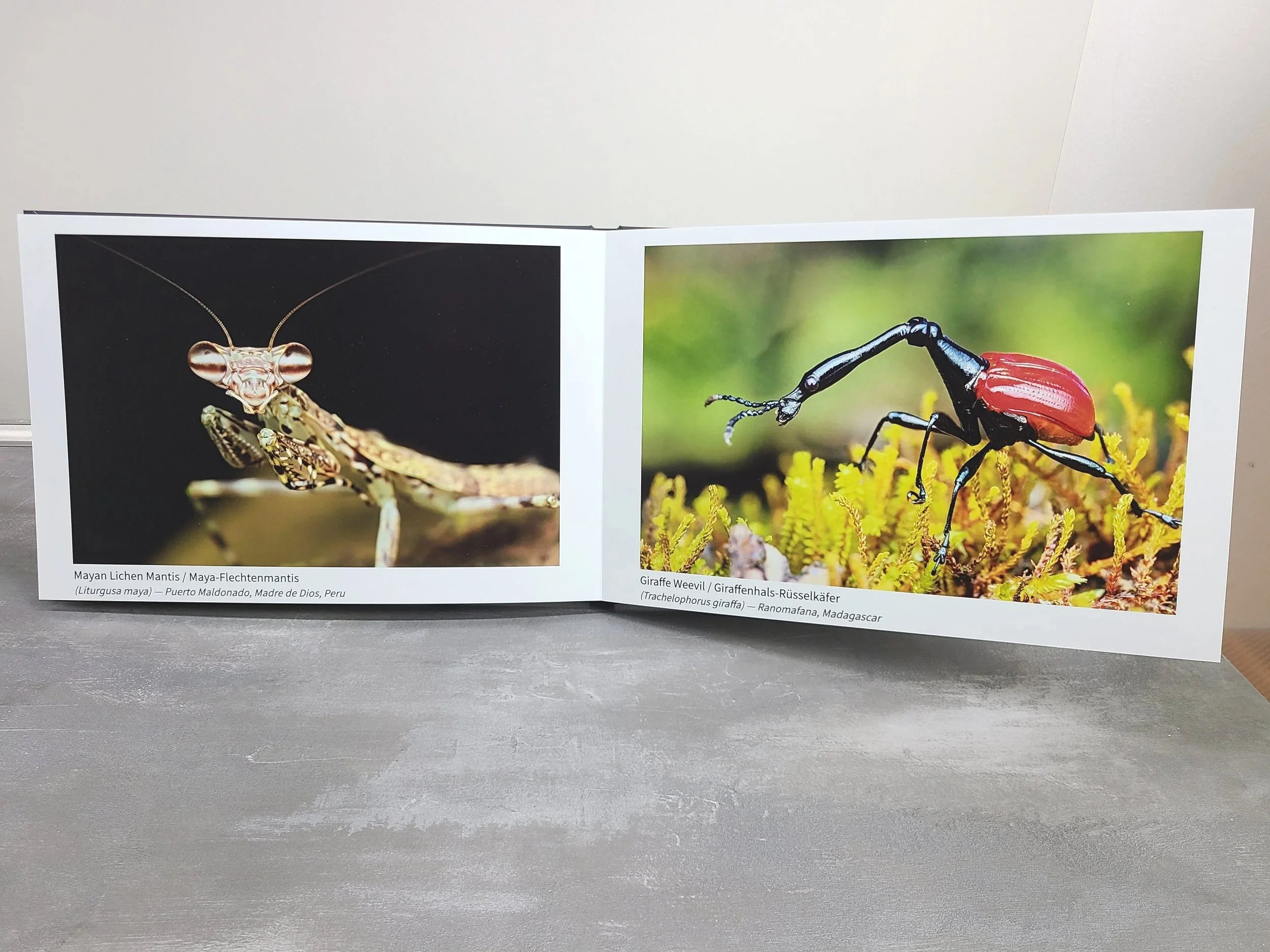 Photobook+-+Mantis+and+Giraffe.jpg
