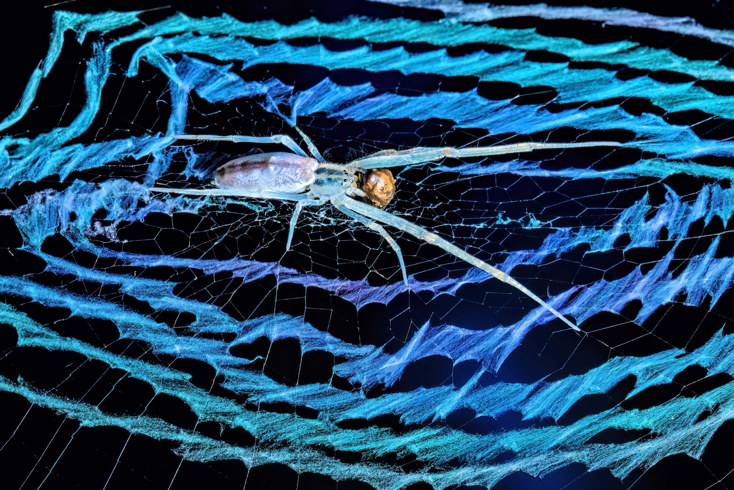 160A0352-3-(2880x1920-Q39).jpg