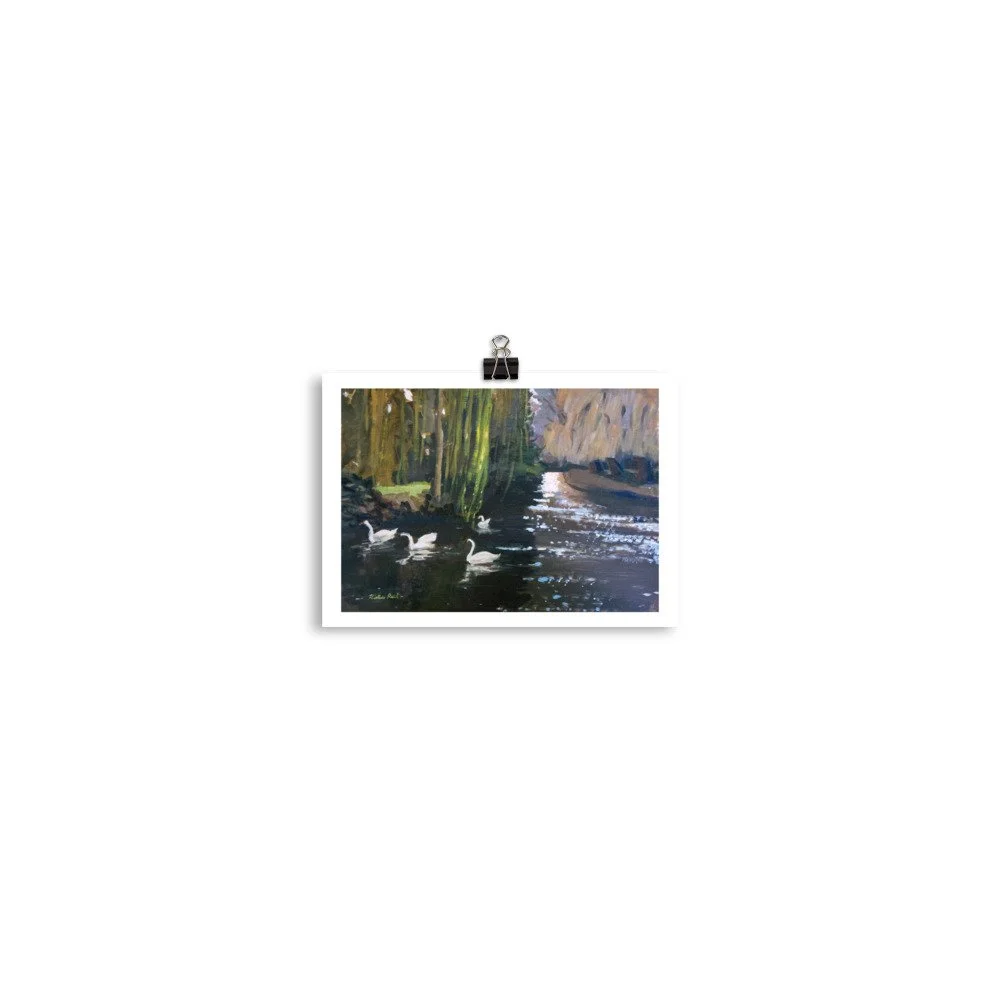 enhanced-matte-paper-poster-(in)-5x7-transparent-6a52c35c19f70.jpg