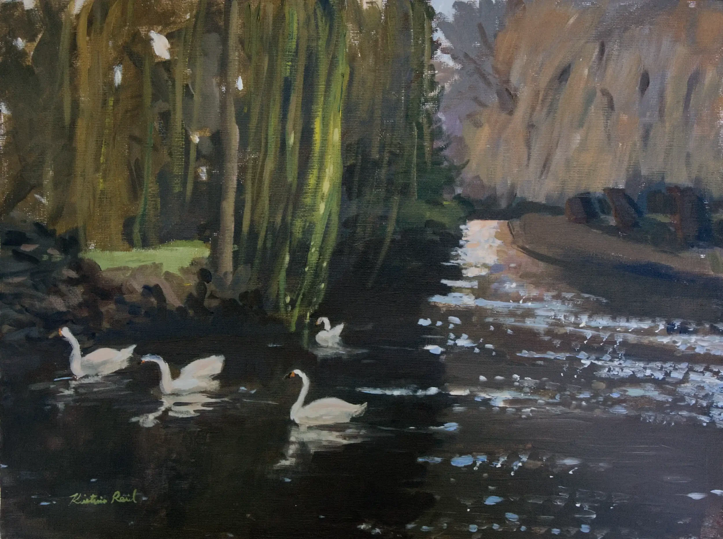 Swans web.webp