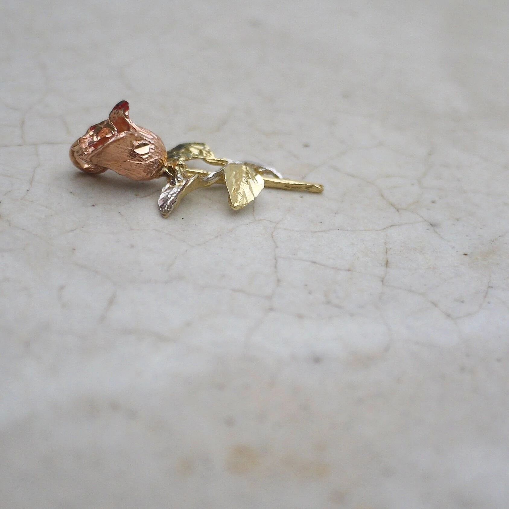 A4CF2BA7-C0AF-43D9-8633-630D29A51194