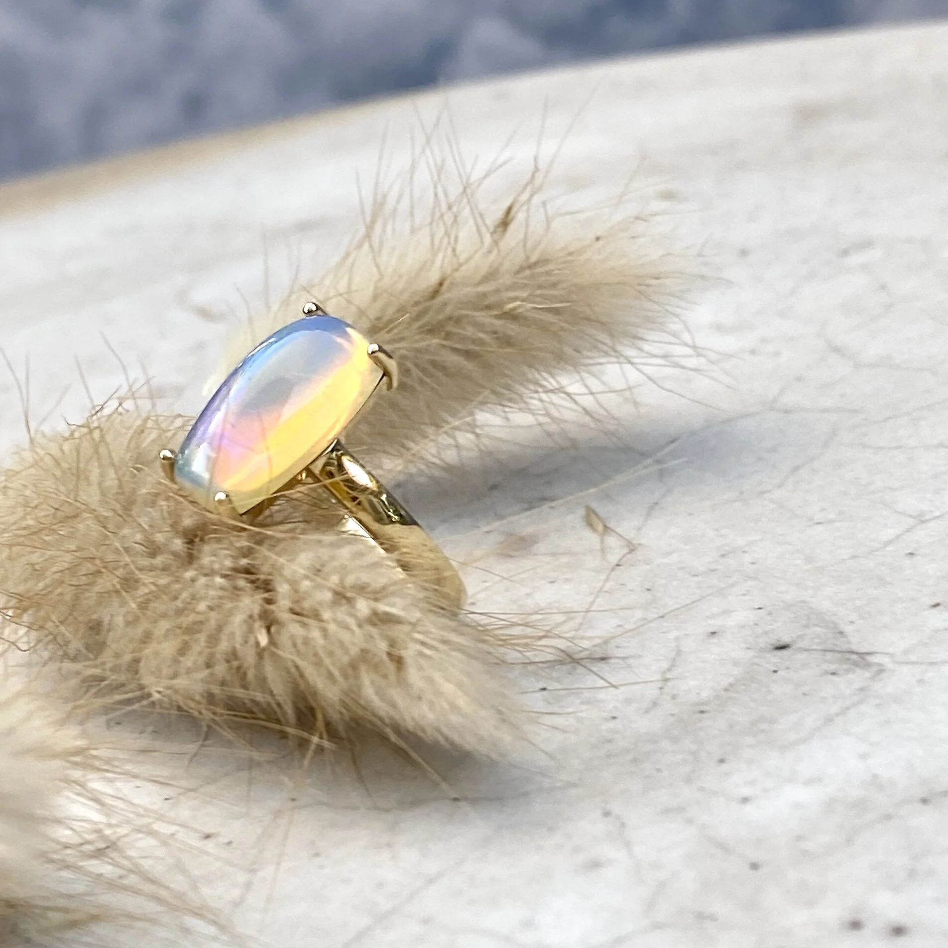 A7501F46-9857-4FE2-B84F-8DDDD1F01659