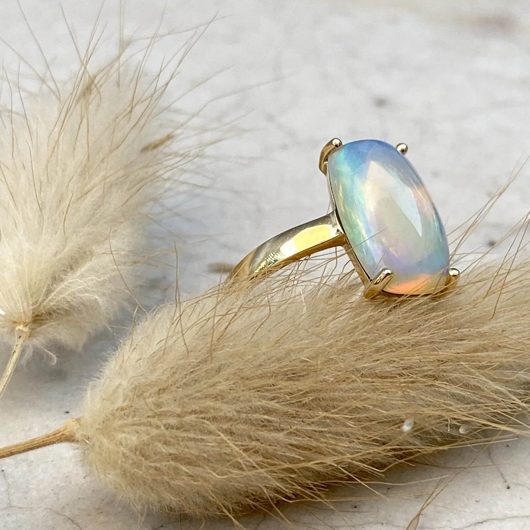 2F7E251E-E510-4495-A023-ABB4E1564A71