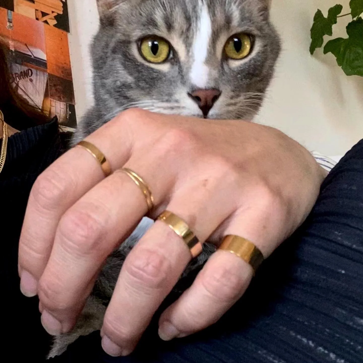 0D498E15-5283-4631-A829-64D0B8EFBD17