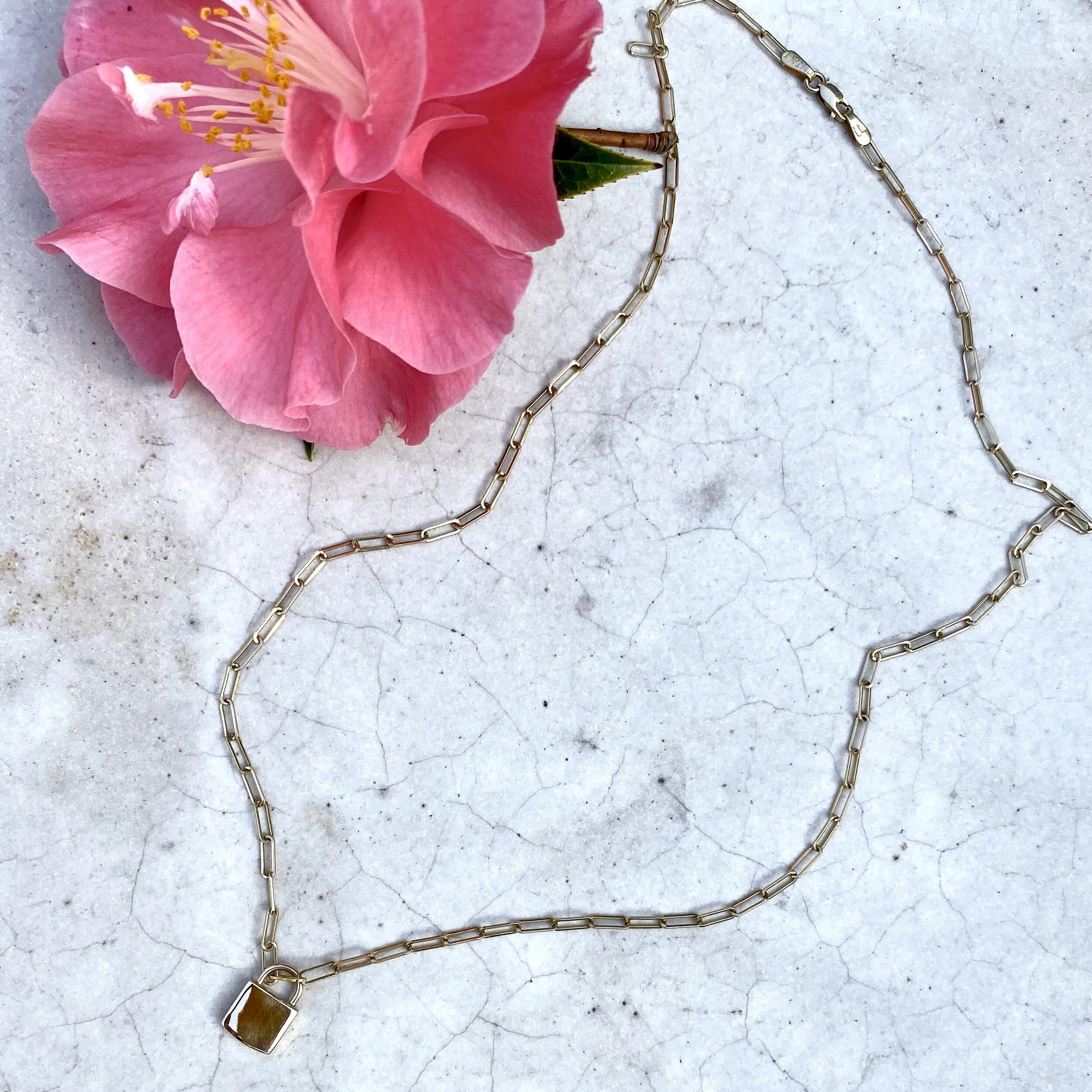 2D113B57-E747-453B-A1F7-253802C1637B