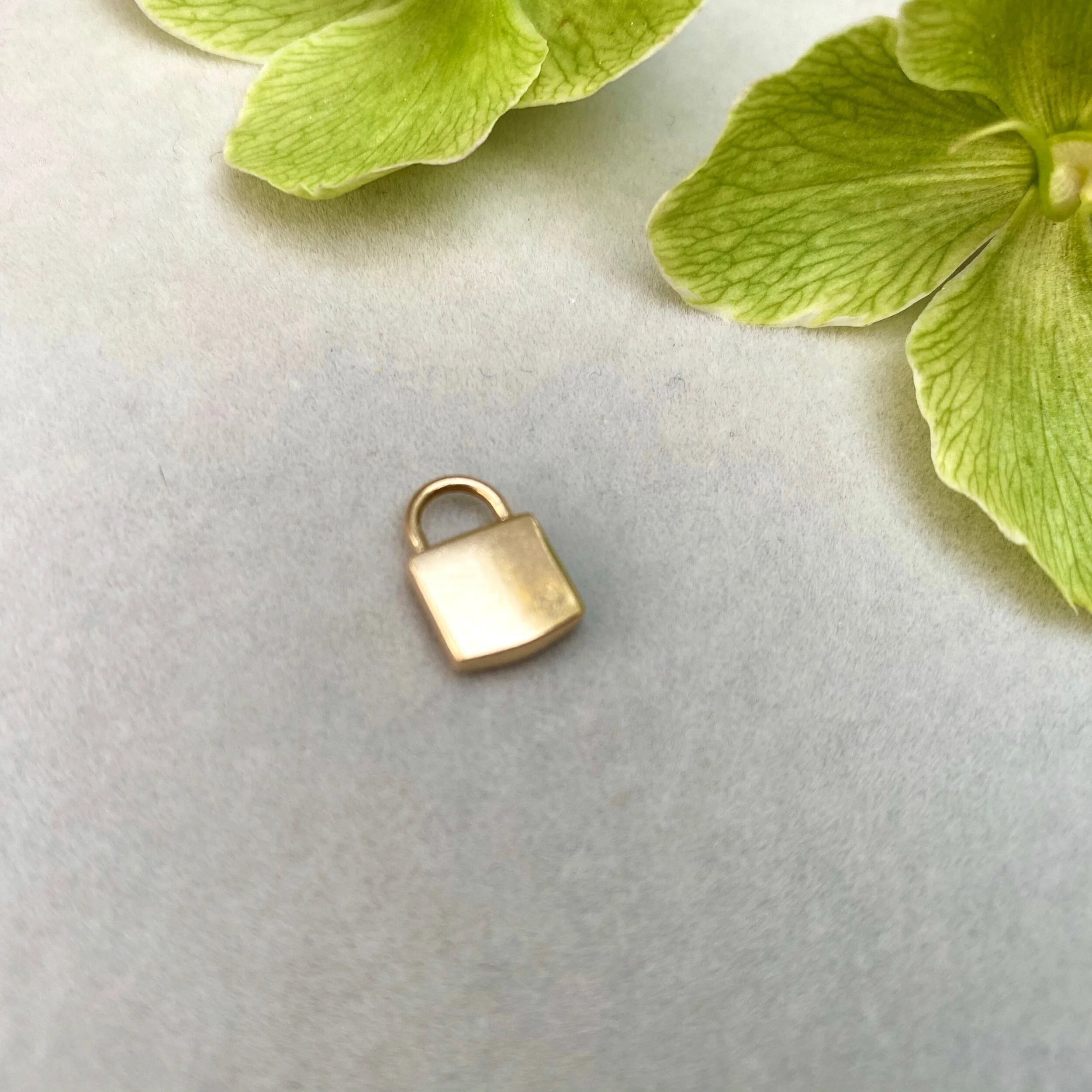 99B847FD-622A-4C59-B8C1-3BAA9559D008