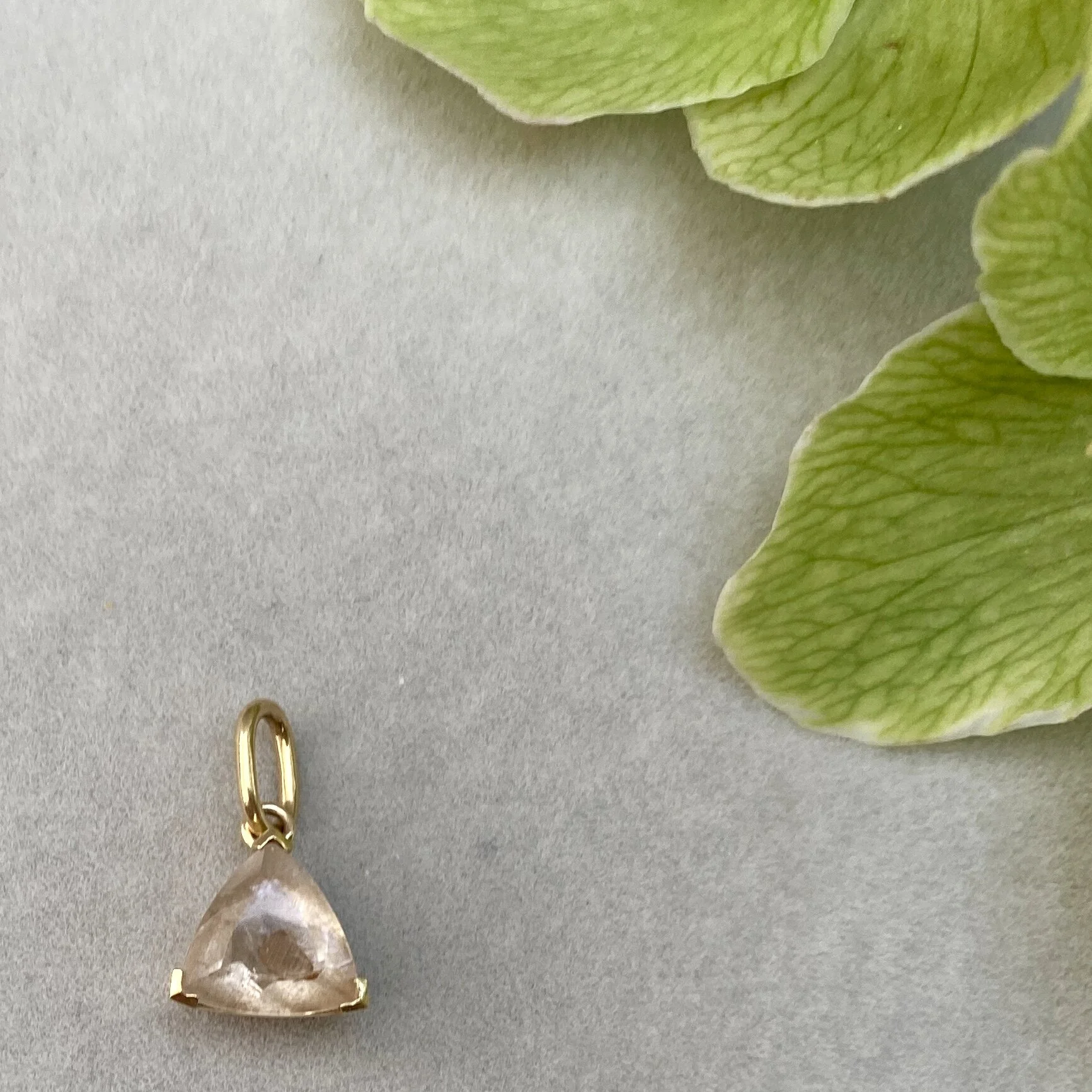 7A1C0C81-1D9A-40E8-A1C6-595D4CA6DCCD