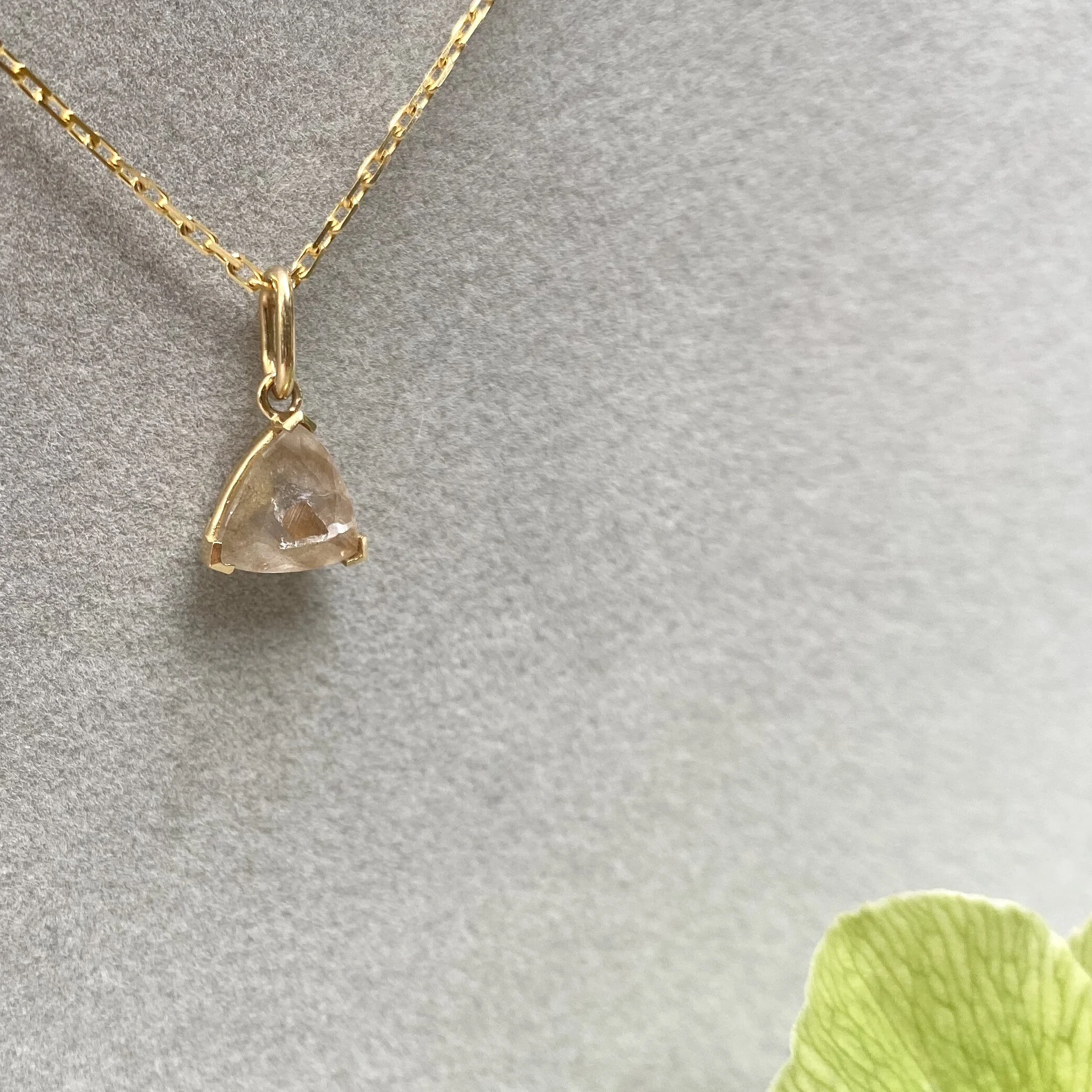 A78FE821-31B9-4379-B40B-F78CA847B7E7