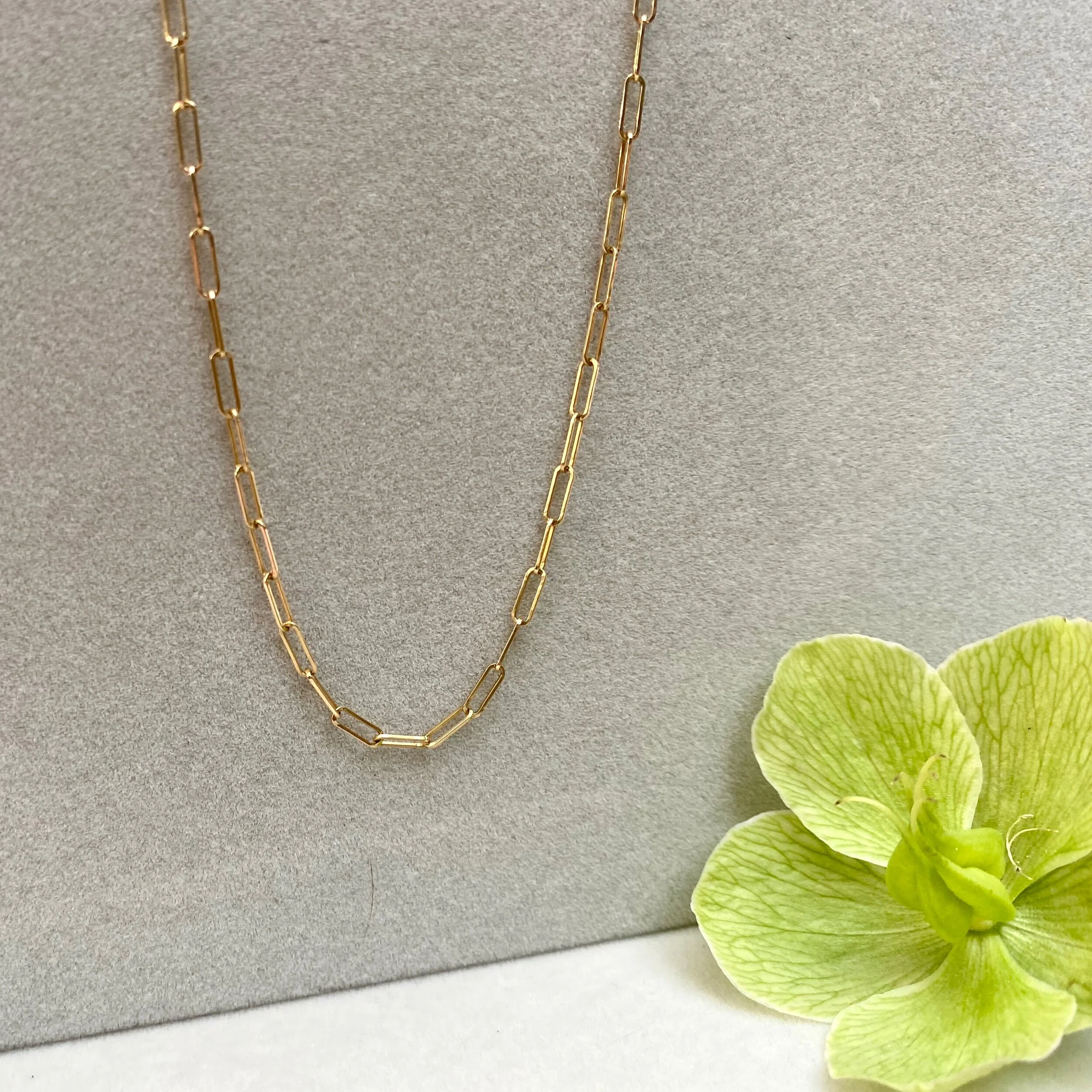 7CBFB495-6B24-4AF7-8F89-FB76692A1AFB