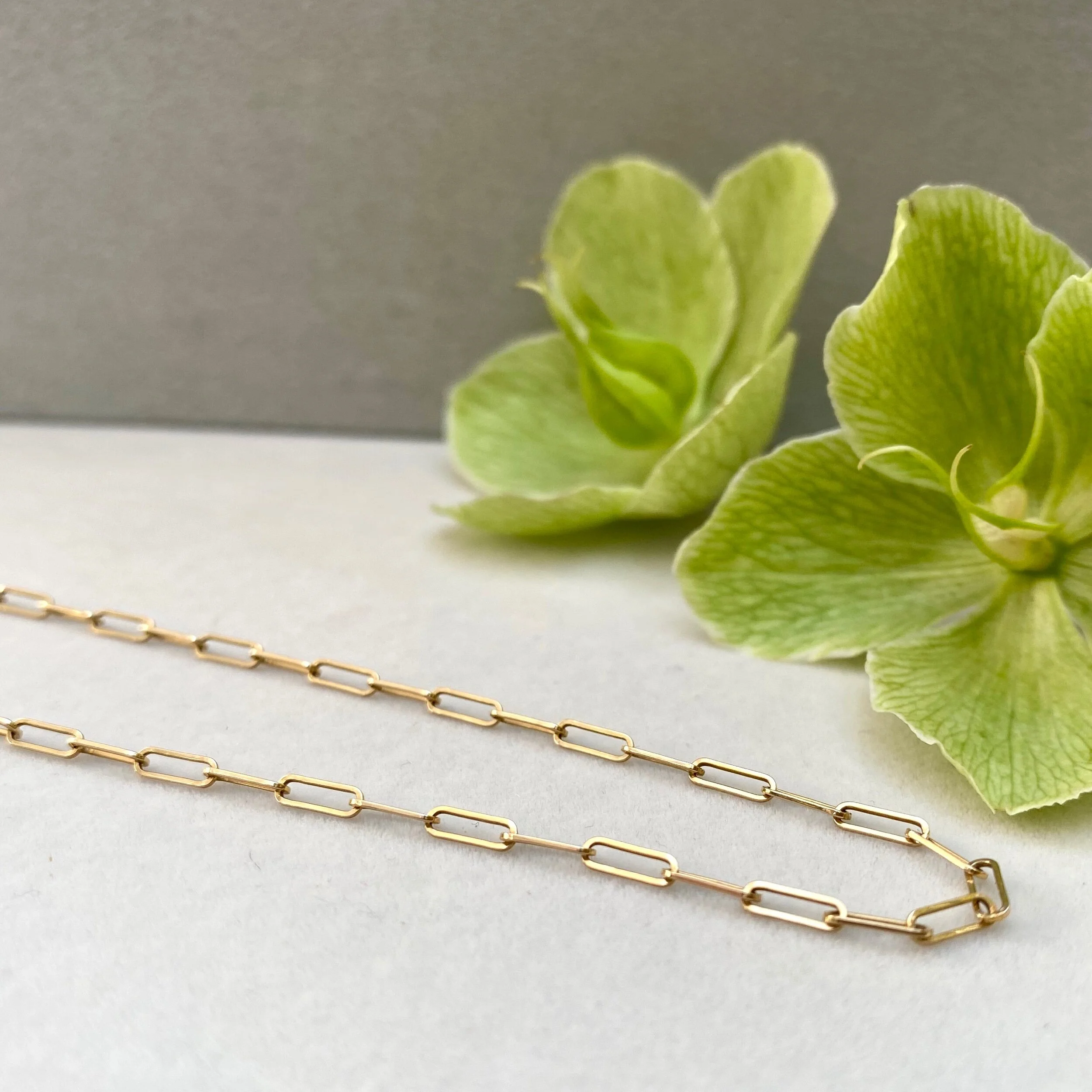 BA9B679A-3036-4C4F-AC8A-D02817FF032E