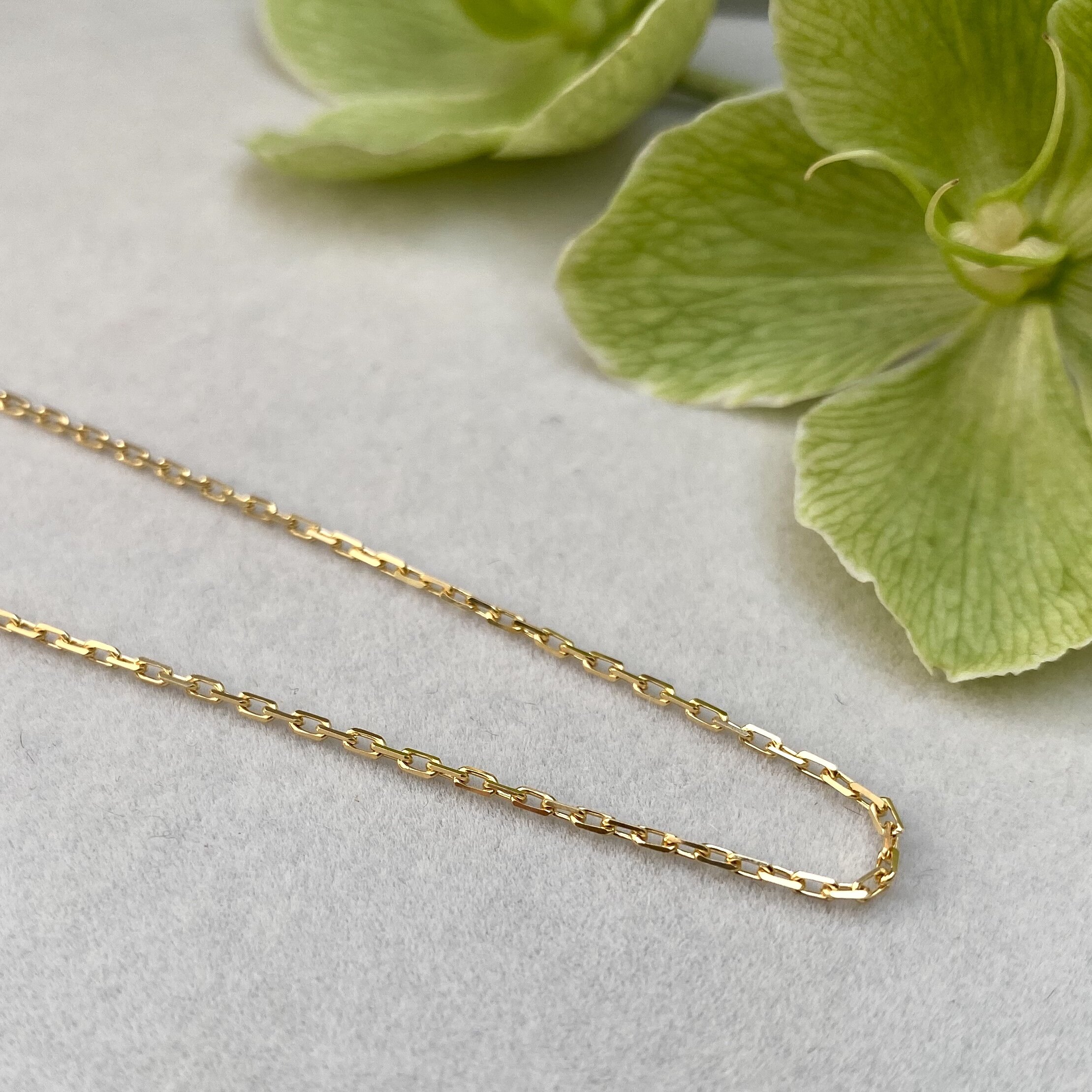 B3AC2103-70F6-411E-8764-67226B13C2B8