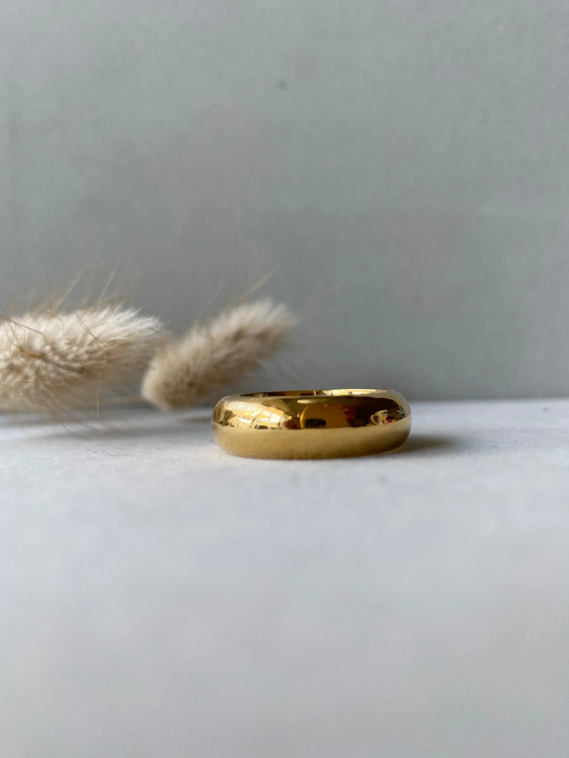 458C8017-41BD-4B2F-9541-D355D2C0AA7F