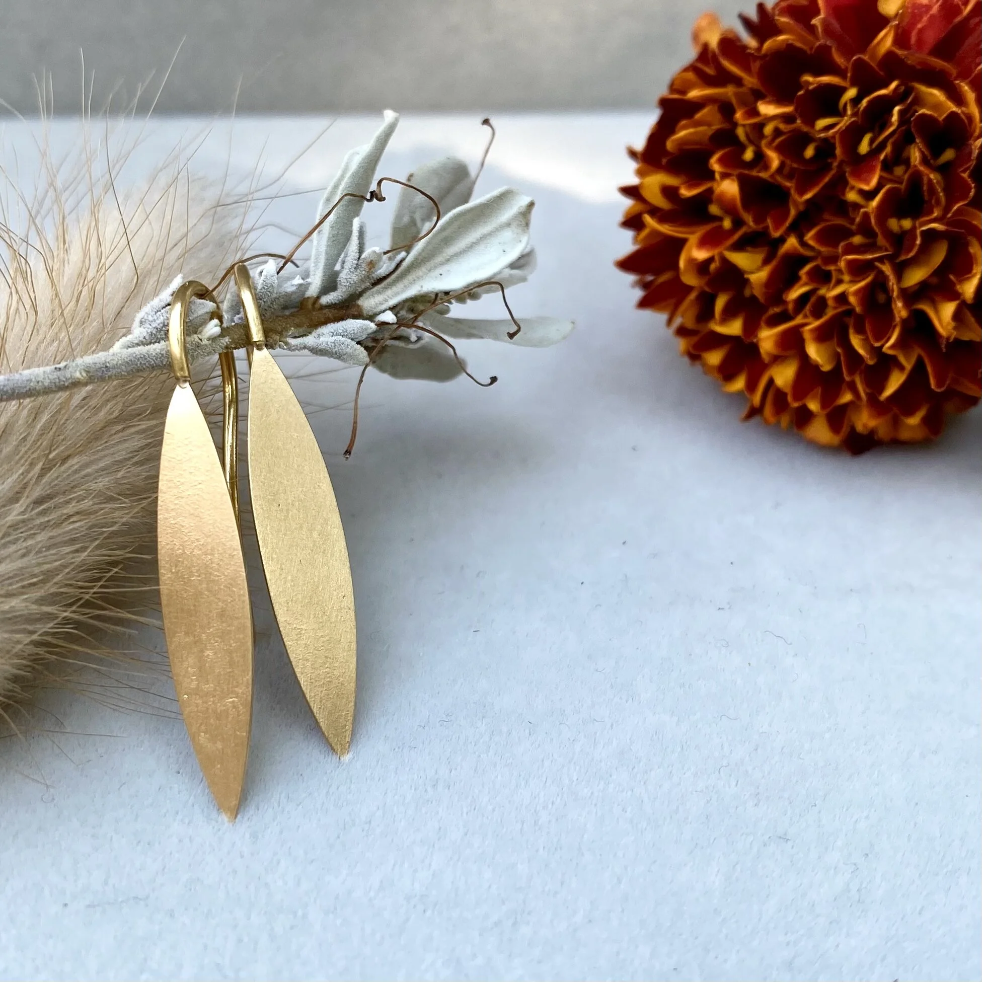 20B4C401-484F-4133-8260-890AC688A104