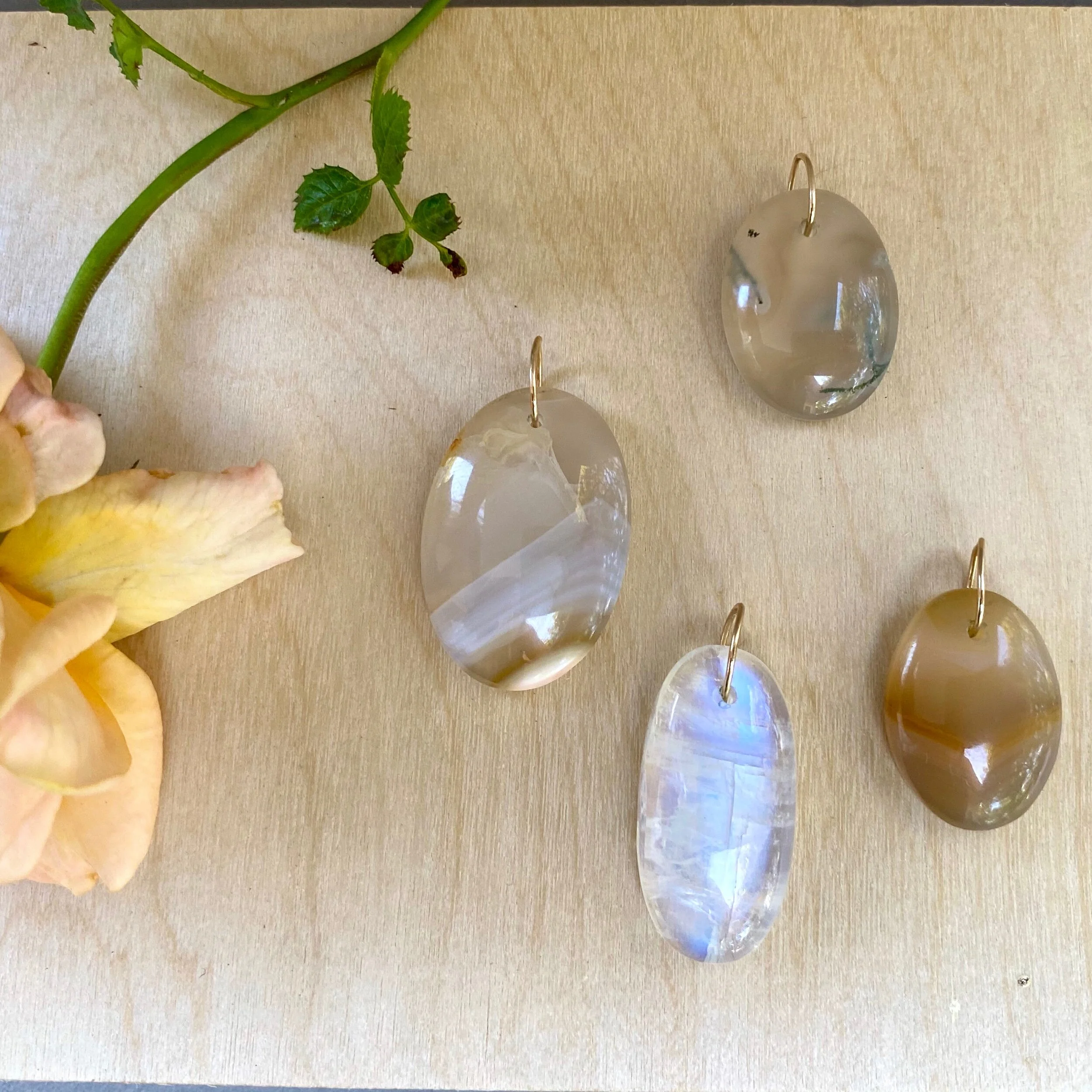 E69E8F42-DB5F-4C1B-8103-A07017493719