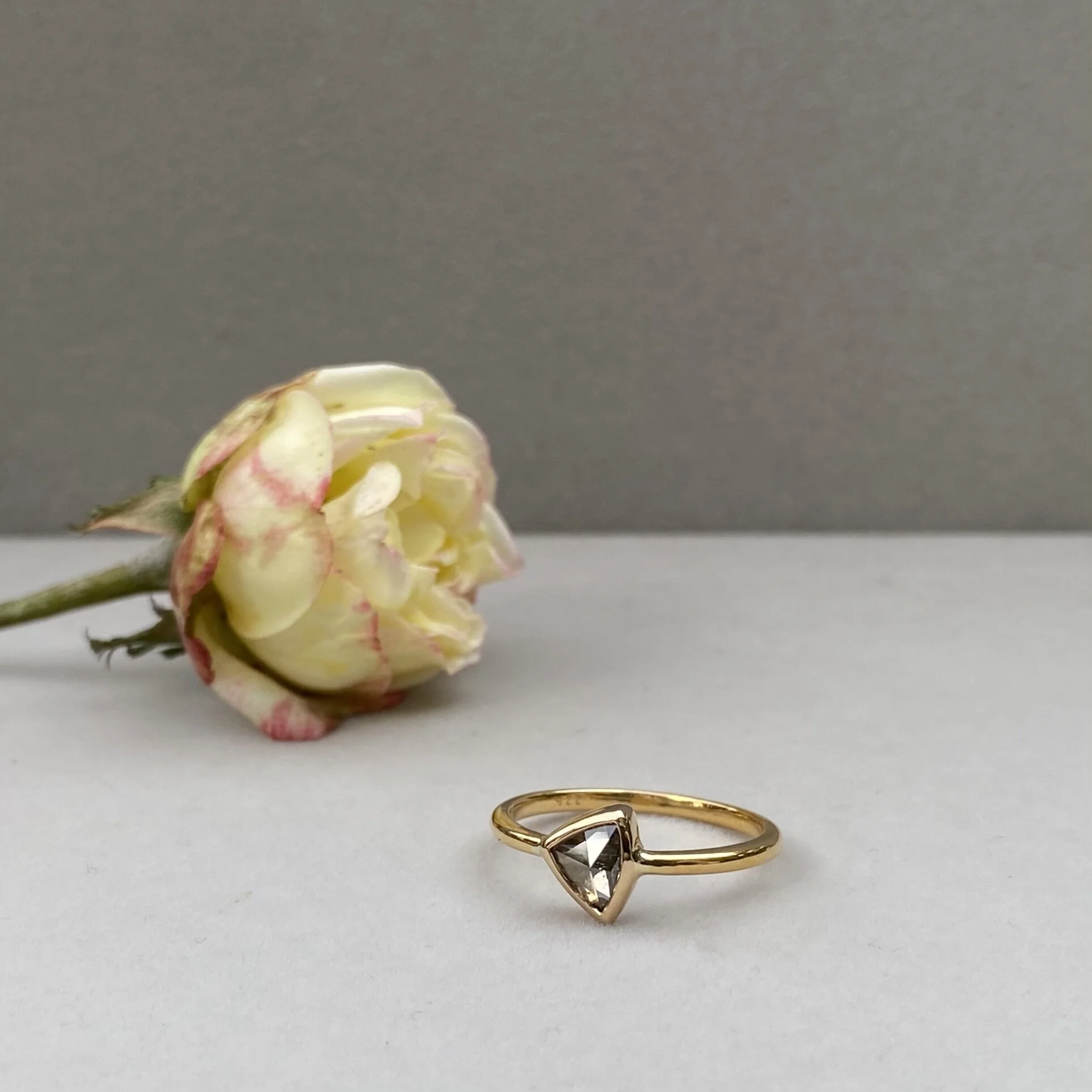 ADE85256-541C-4D3D-91E6-82498ECA0DDB