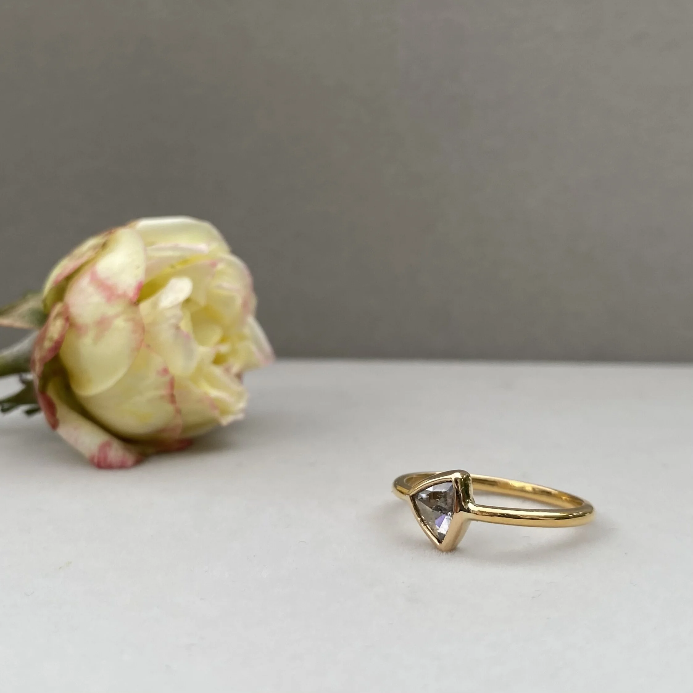 559693B6-7404-403F-9417-9E8A809822B5