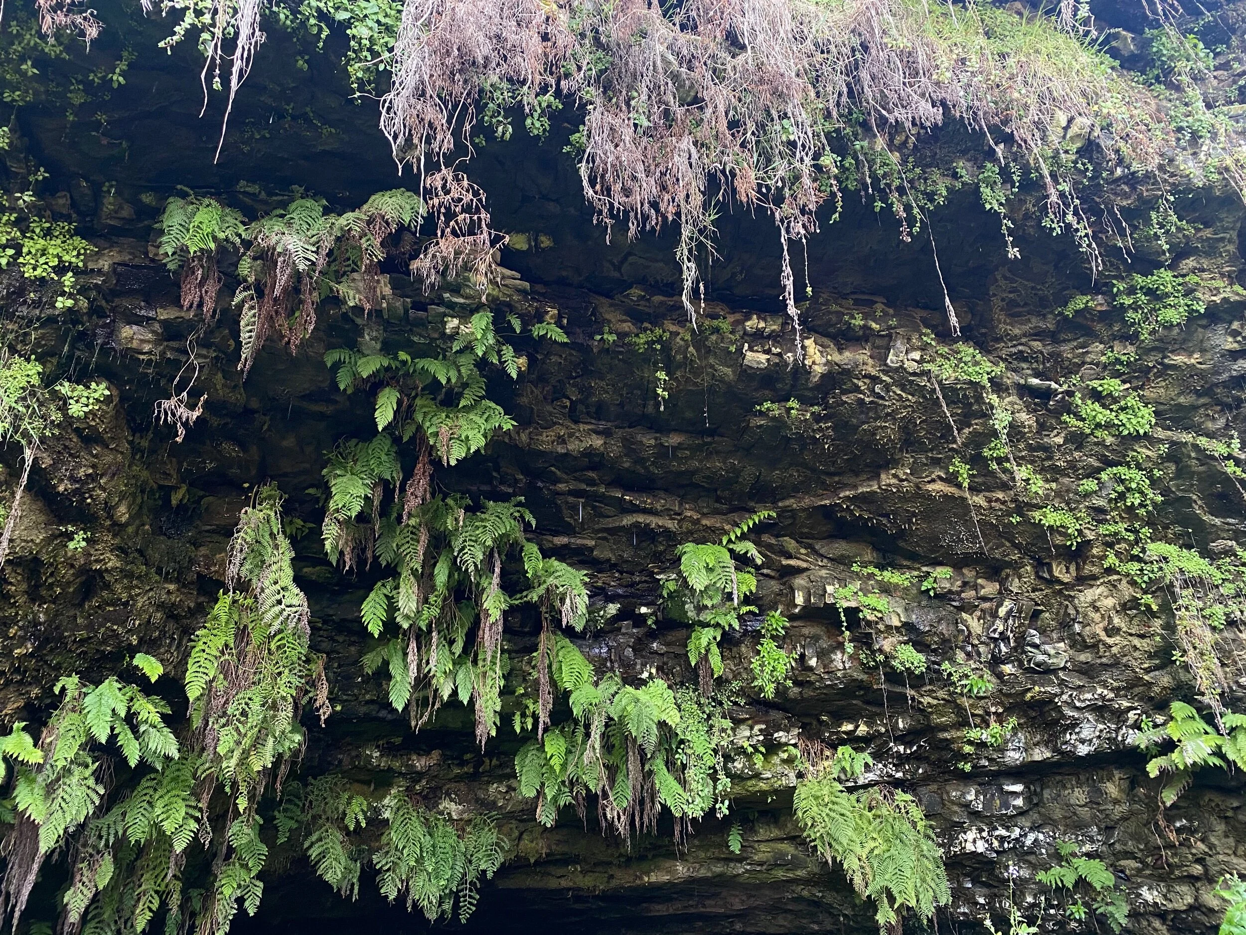 FD0D2235-D5F1-40B2-885B-37EE2714D1C4