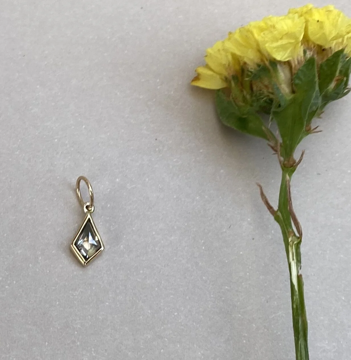 C2E500A1-2706-4CCE-B313-63AF7DA07A53