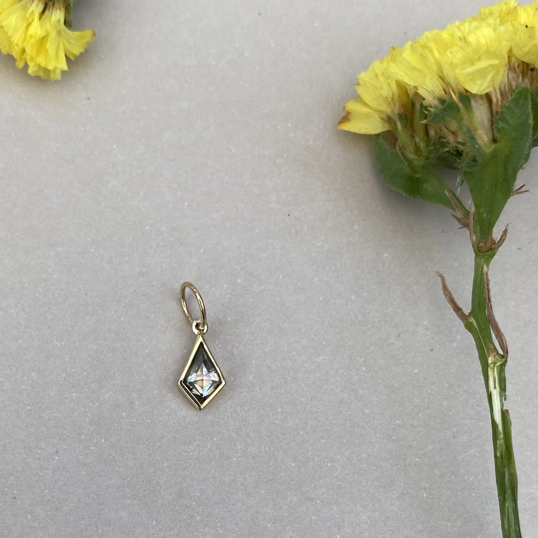 2E255E6C-5D3A-4BB5-9EA0-B4E09F4237AD