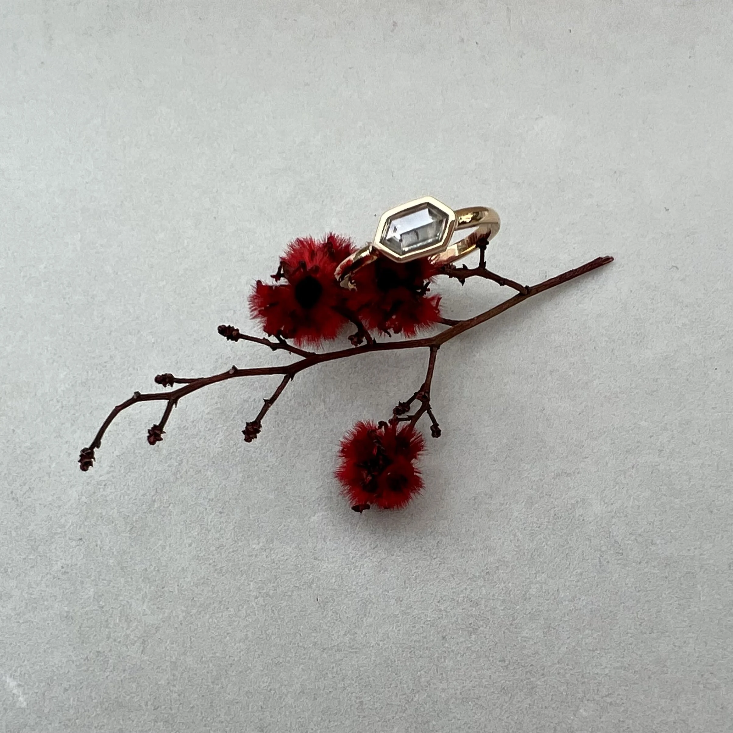 59F776E8-BDB1-4A54-82DA-14A059333711