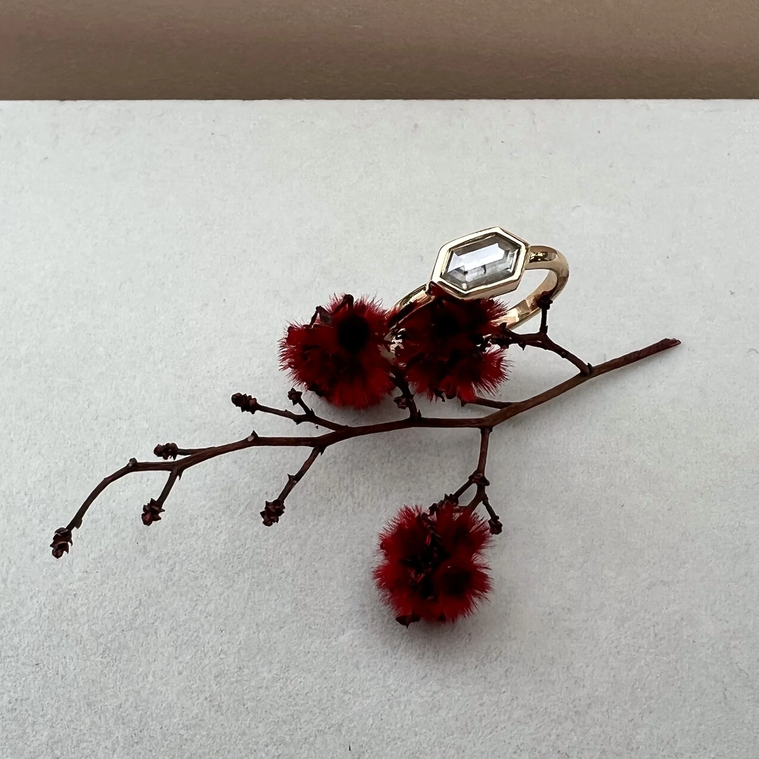 0017A34D-CF94-4C69-9356-D0A4A285C477