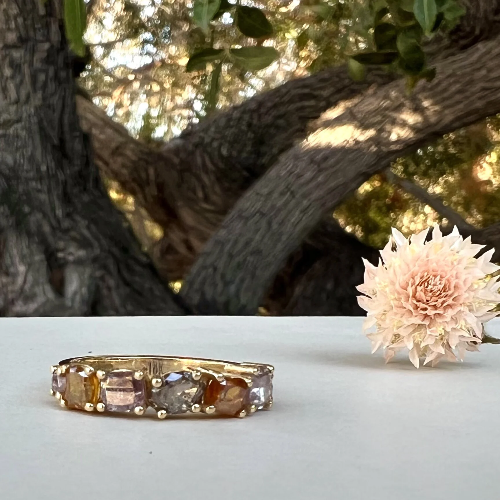 963CAFF9-B11C-408F-9E22-98A42BDAD0C0