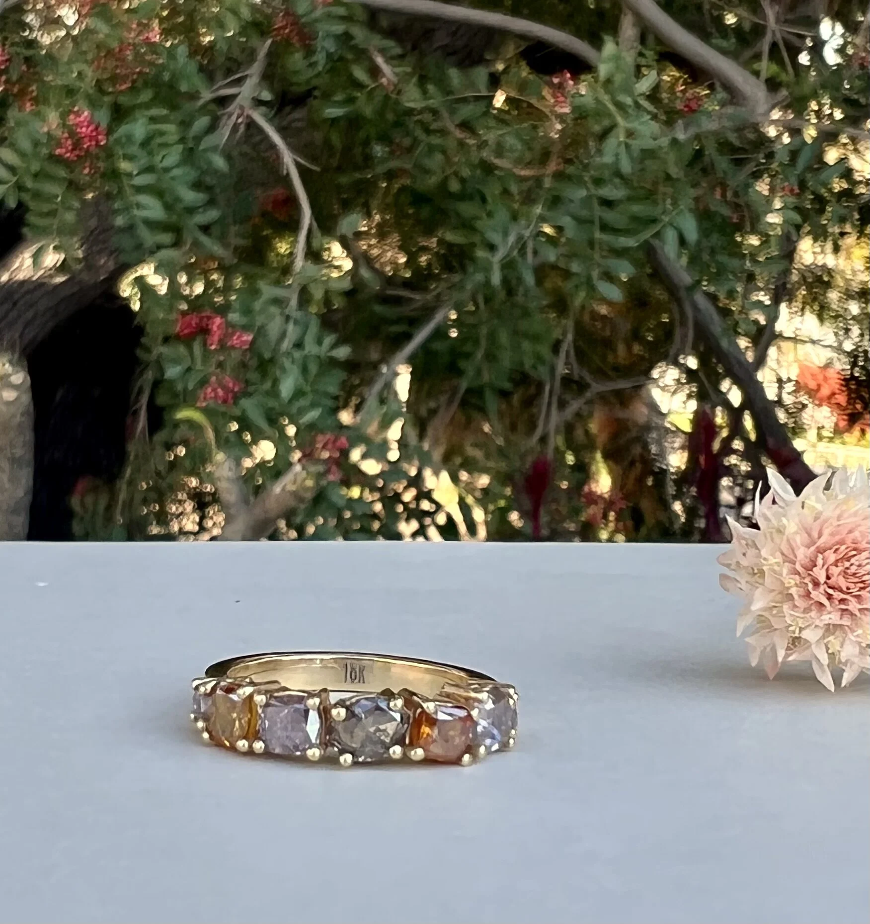 77022D05-7E5F-493E-9BD9-E3240DE39446