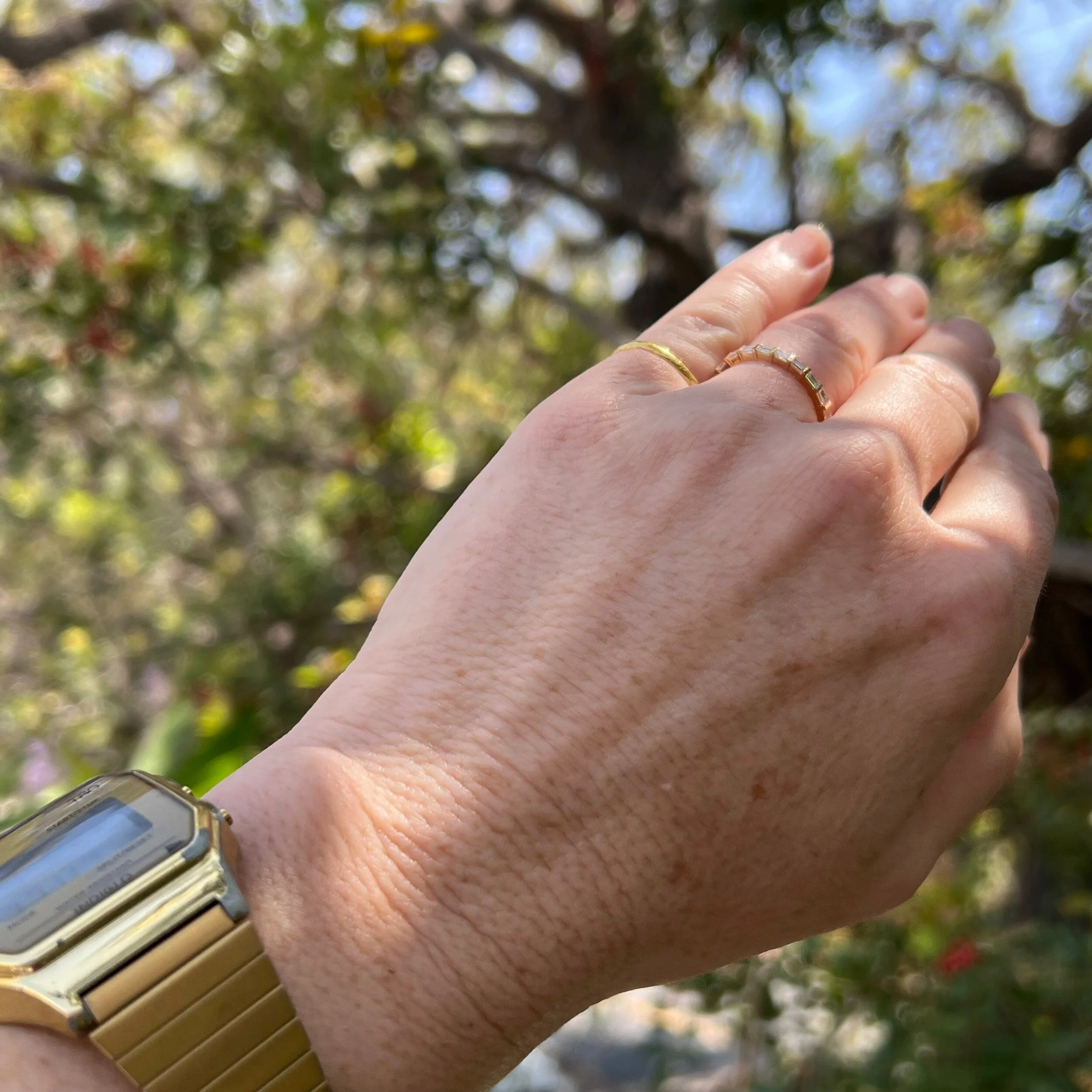 E960F7D0-E3F8-4CF6-AE2C-DD2E70AB3CE2