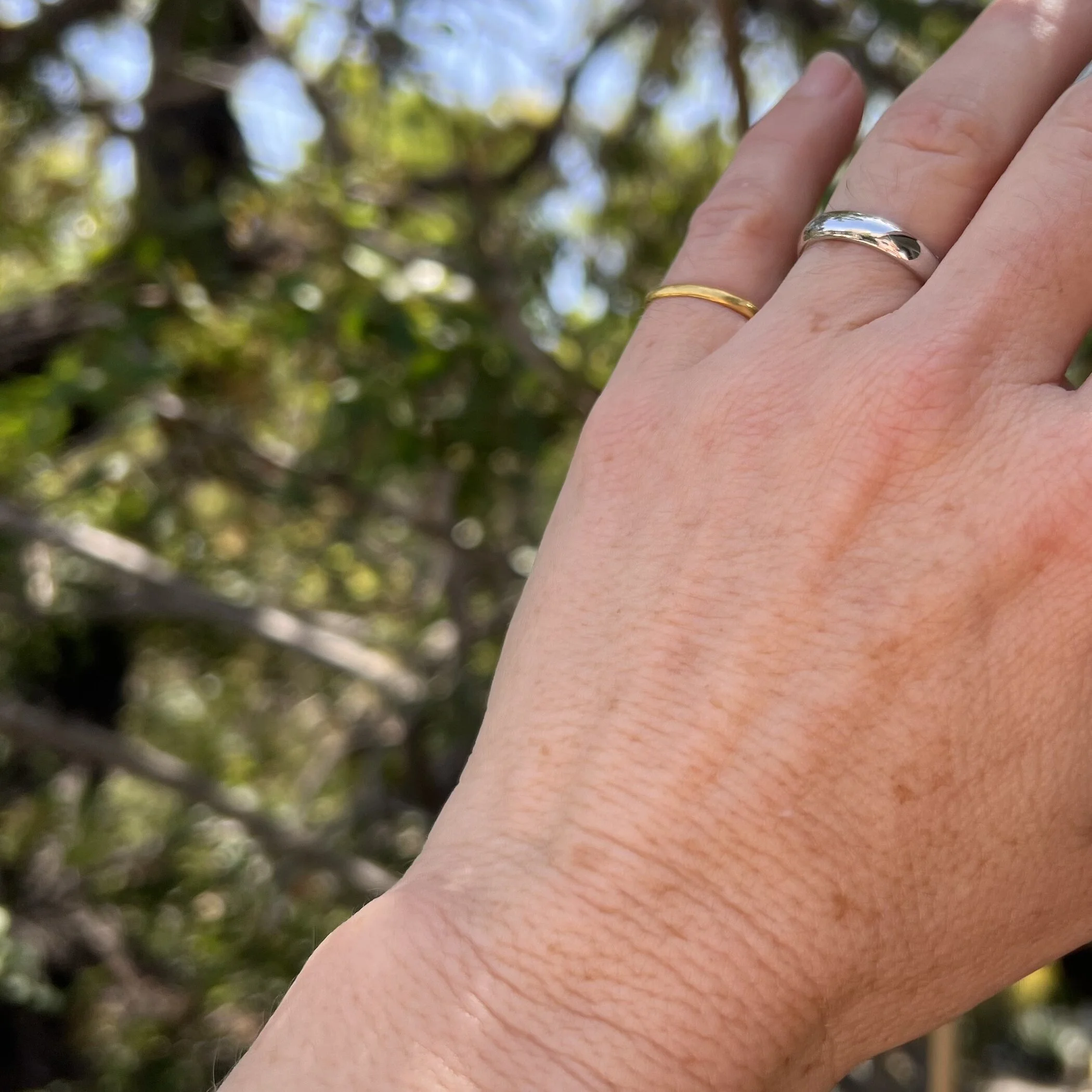 44095163-2611-4DEE-A74D-98E2492768CB