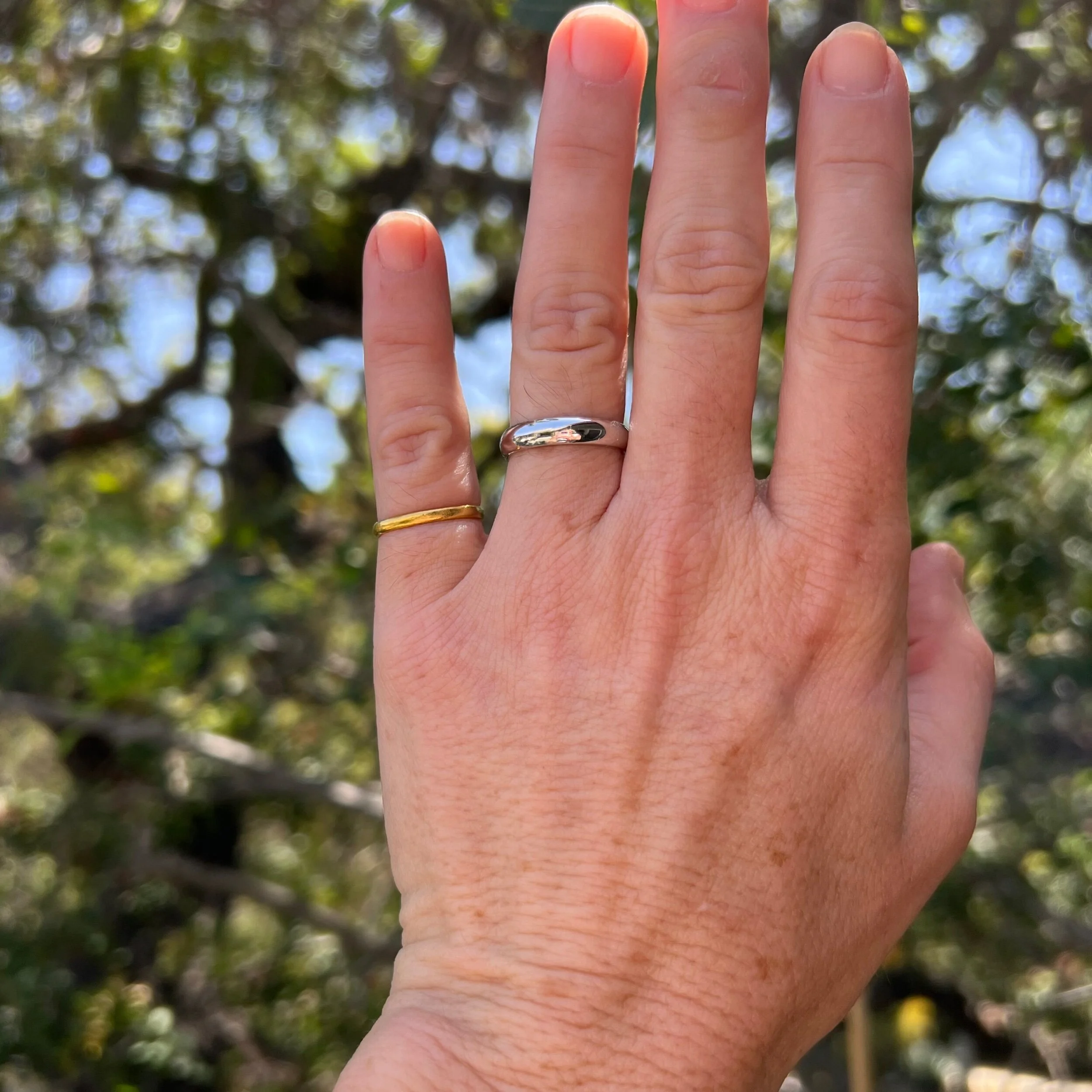 21A10F15-7351-4721-86F6-5EE40568C86E