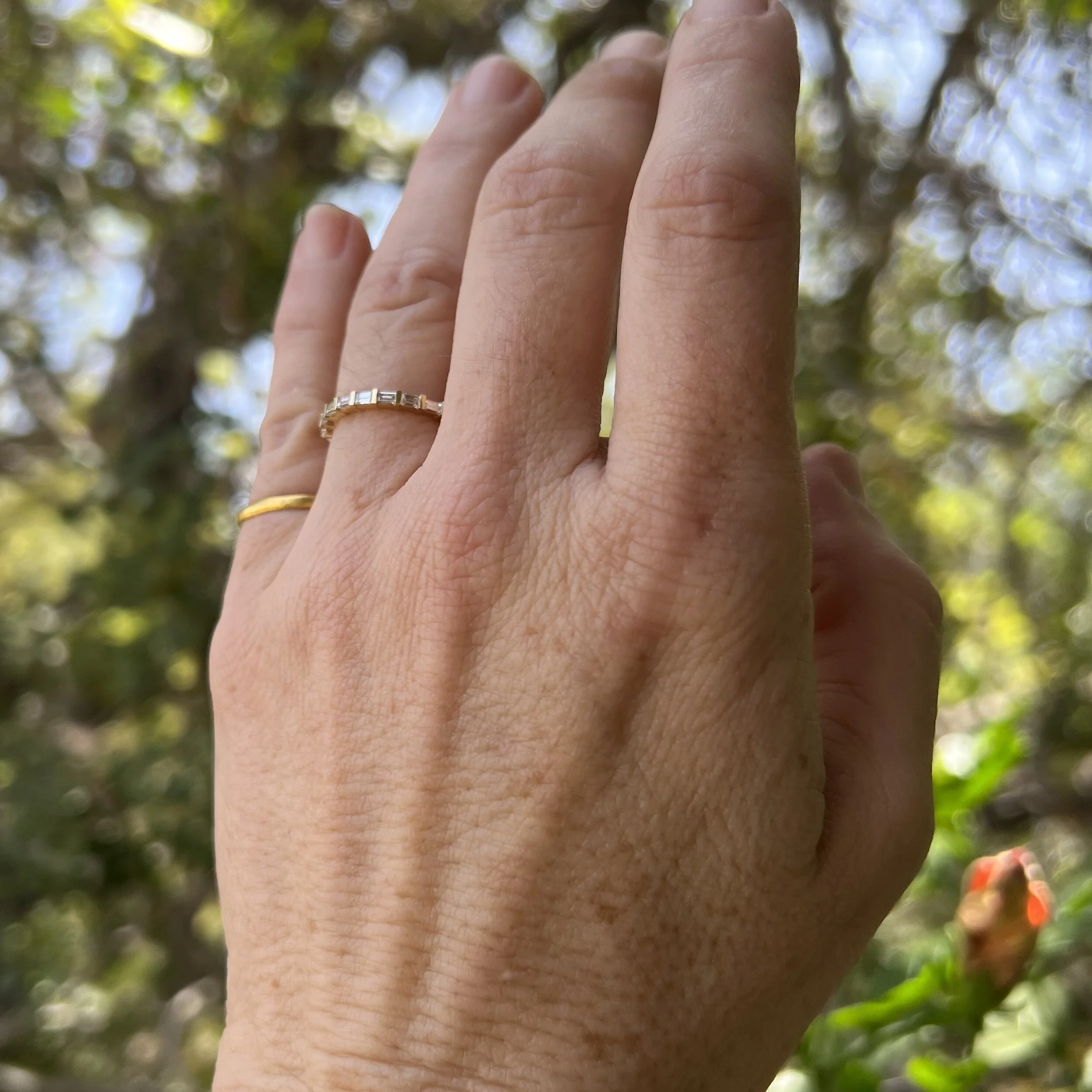 50DC2934-6FF6-473C-A8D3-F8D517A59441