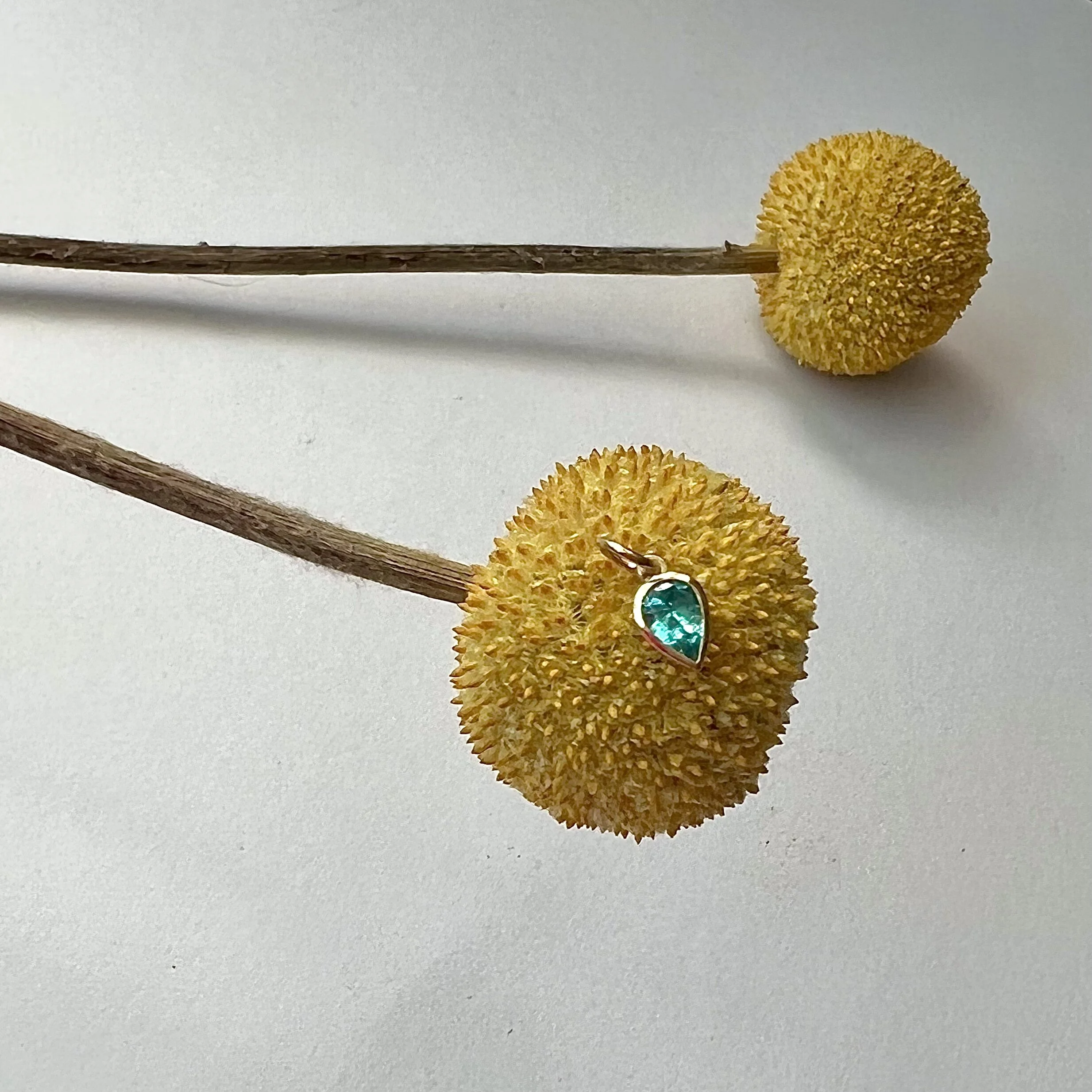 6C3F8259-10E1-4D59-B347-C91E65F3AF3A