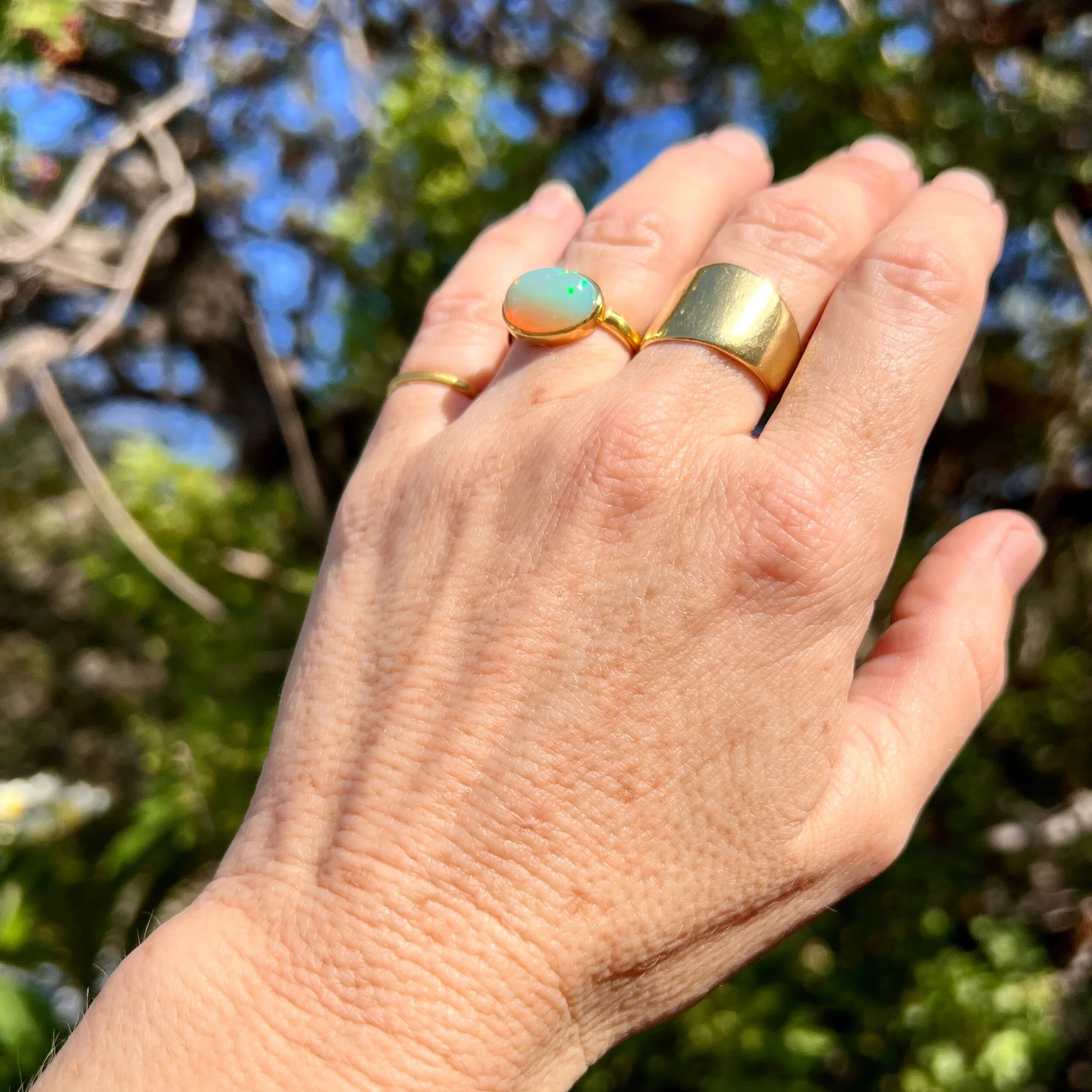 EBD2C13E-DBC5-4EED-8290-1C23DB3206FD