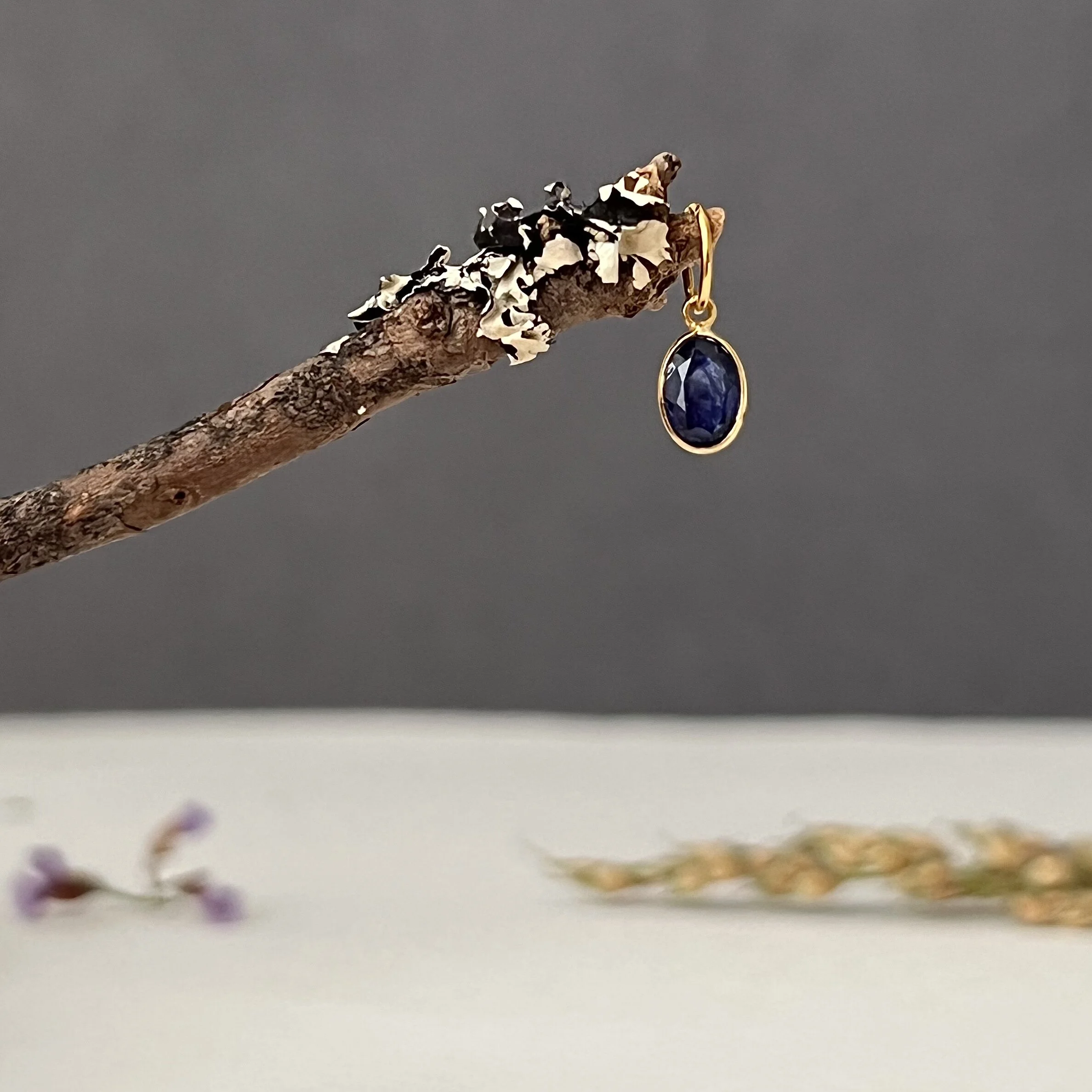 2C956A23-7AF1-43E6-B60B-D86DBBE2A470