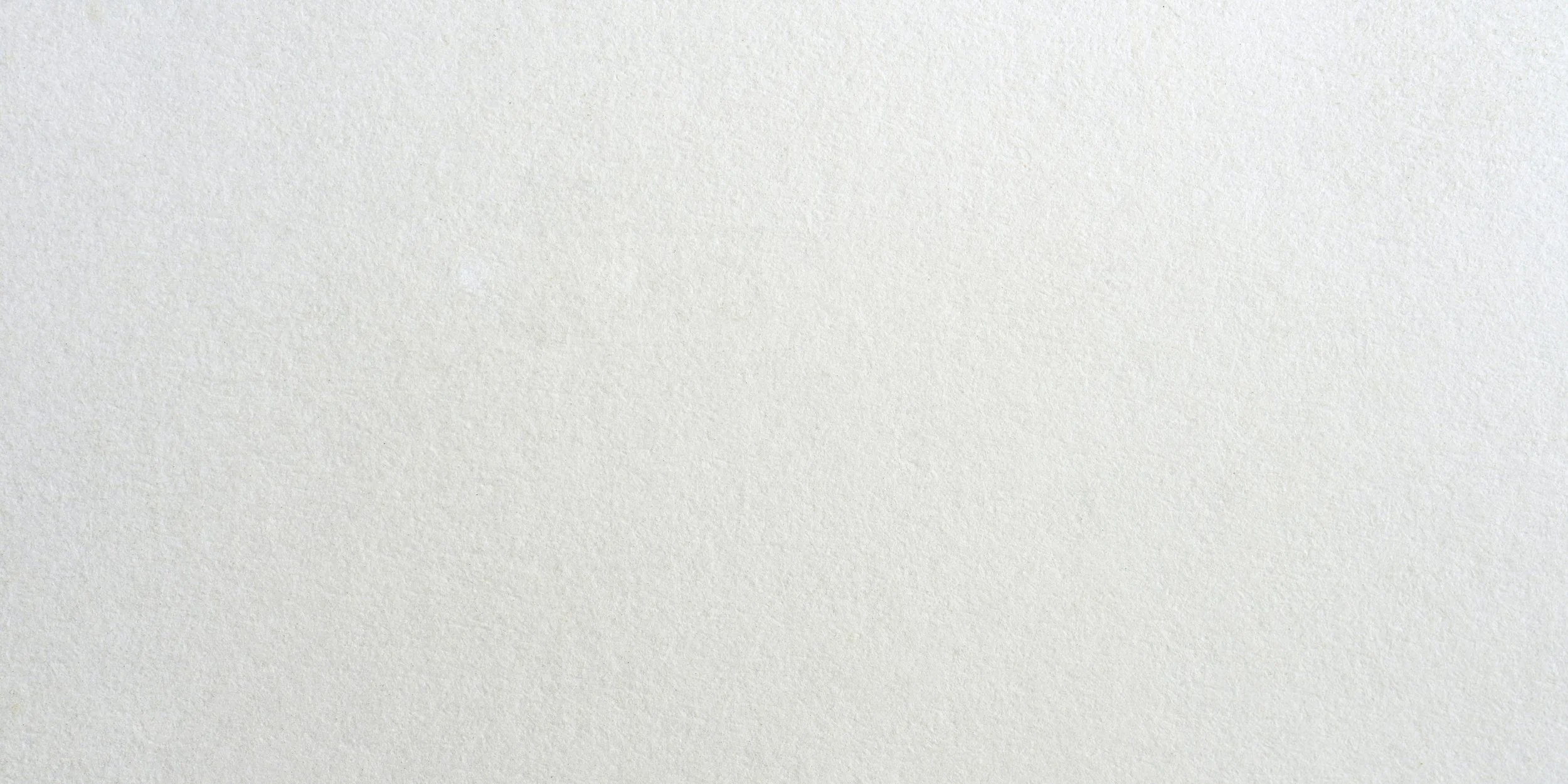 Paper Texture.jpg