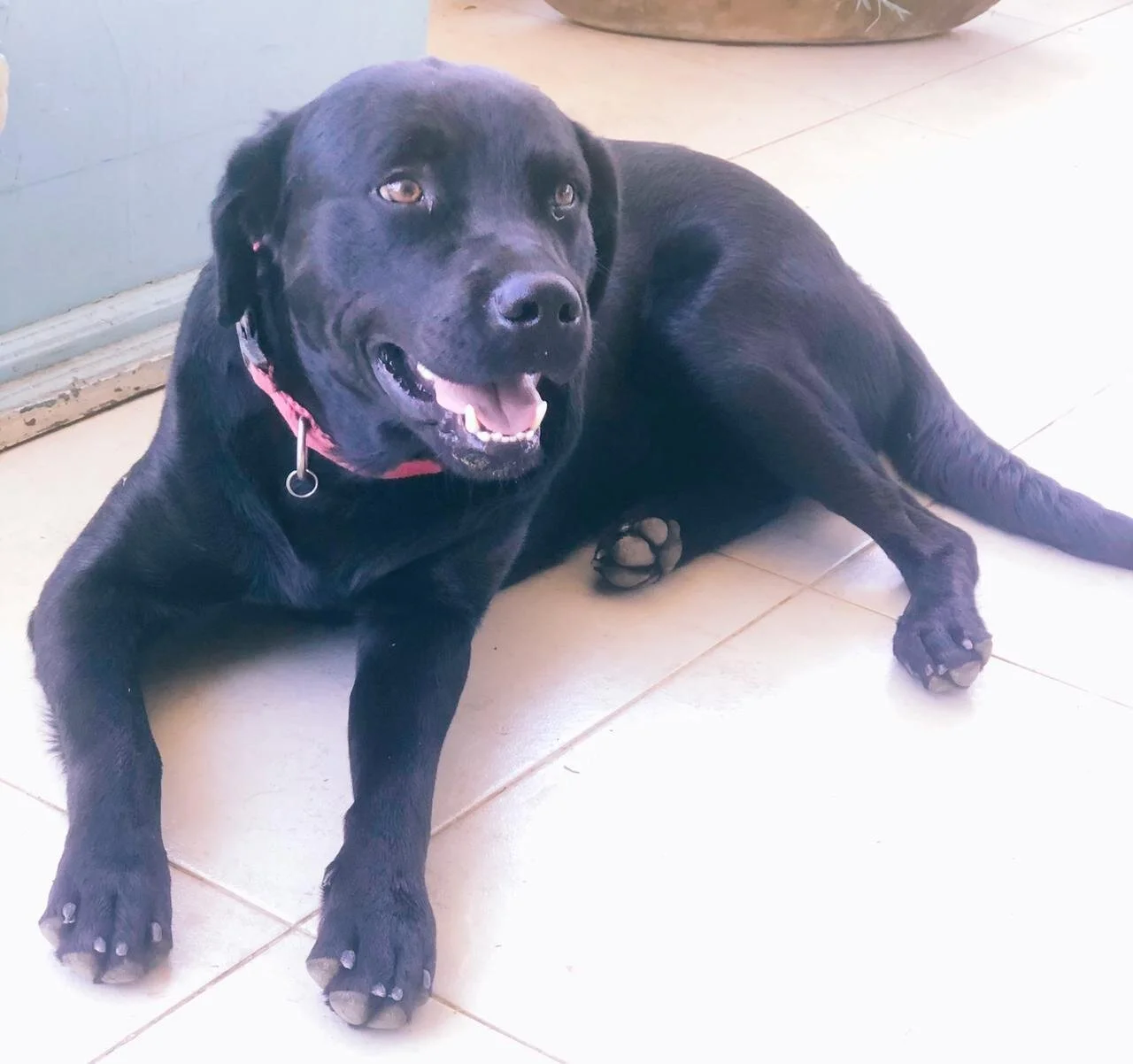 WhatsApp Image 2021-01-12 at 9.47.36 AM.jpeg