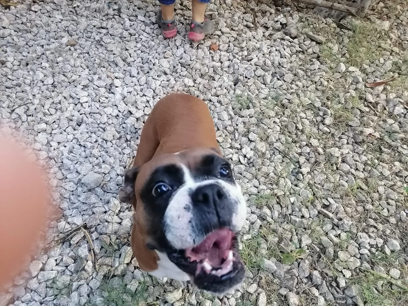 WhatsApp Image 2023-10-02 at 3.57.58 PM.jpeg