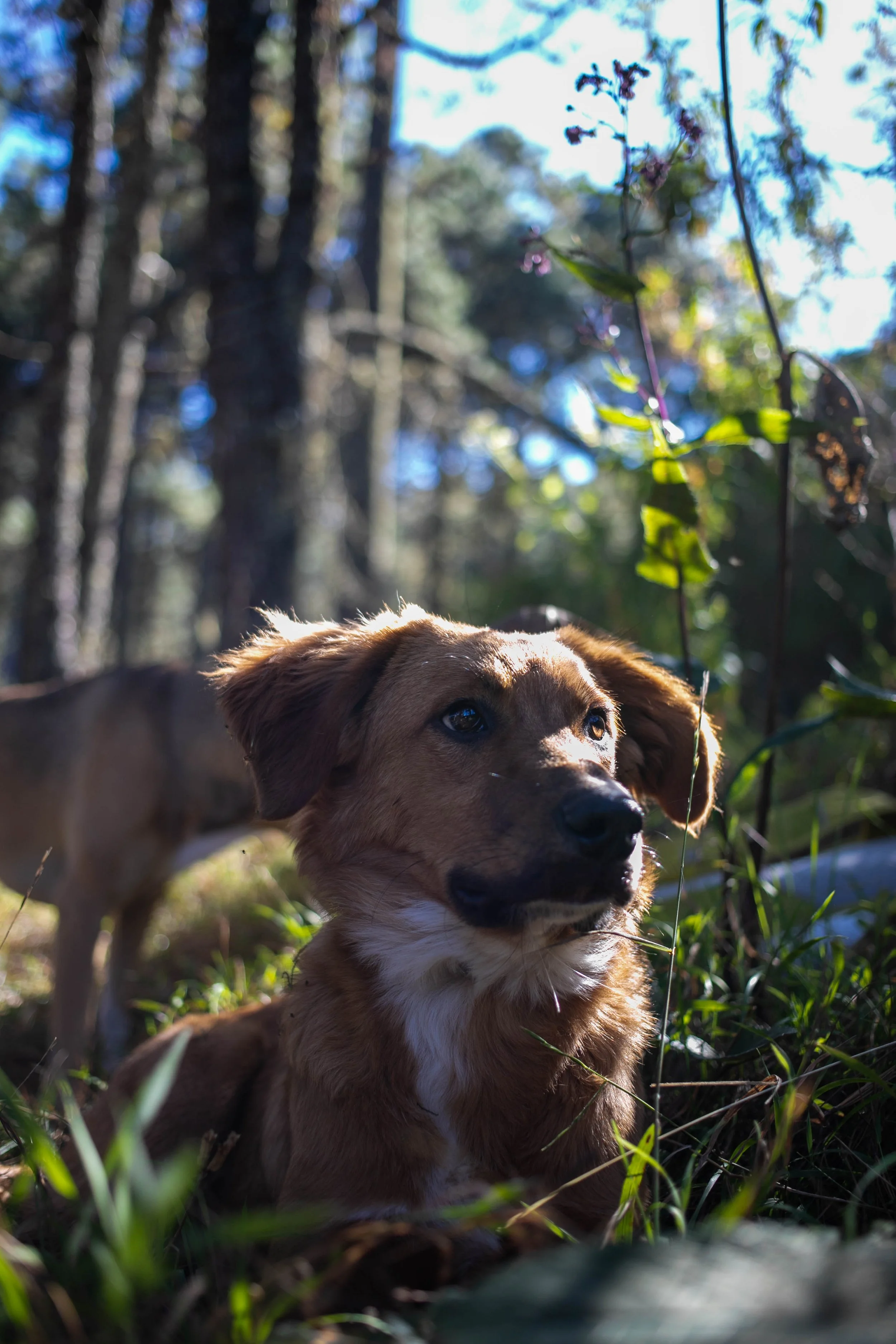 _MG_8162.jpg