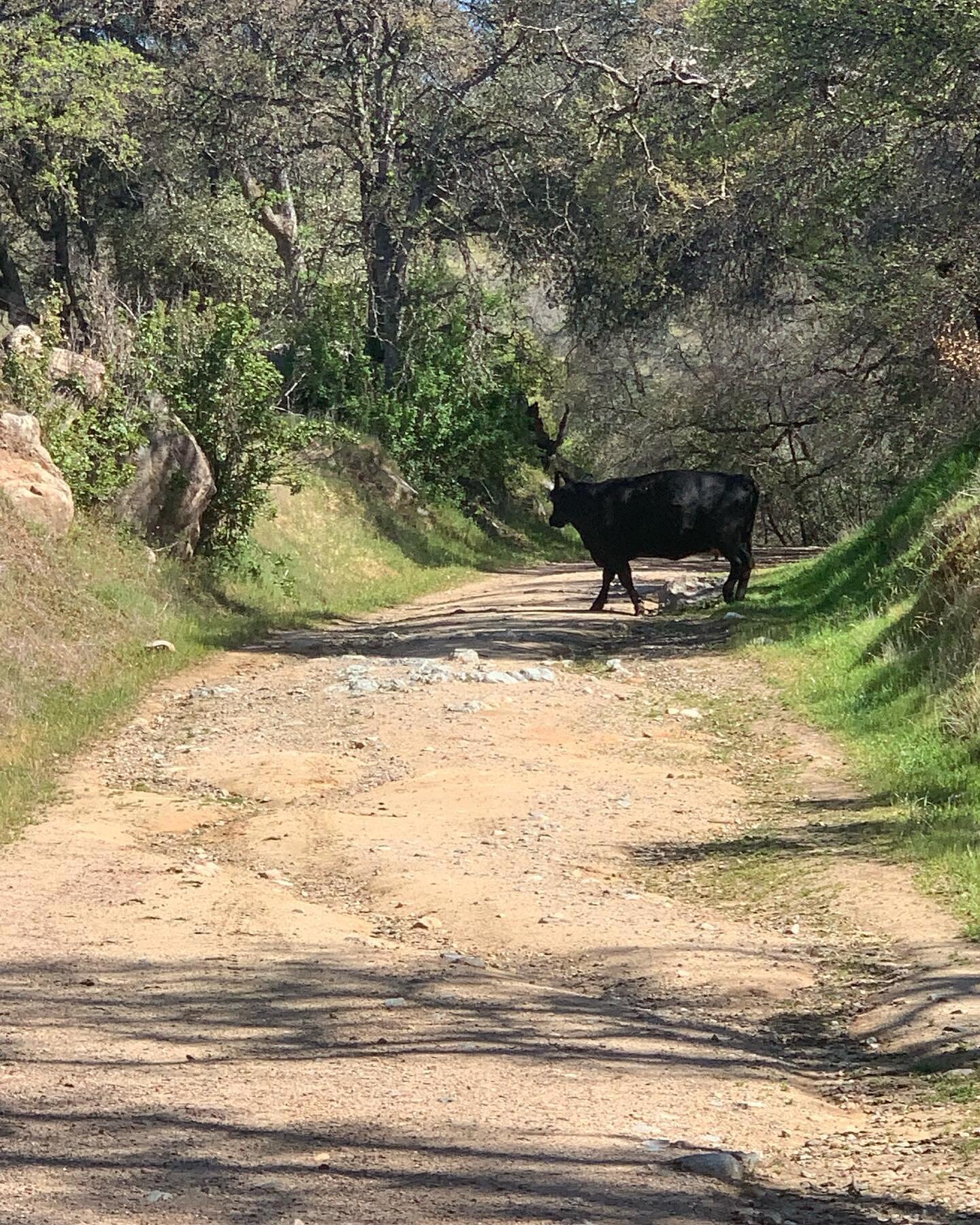 What&rsquo;s stopping you from riding this weekend? Adventures big and small are right out the front door. Enjoy the weekend!  #chicocorsa #yeahbike