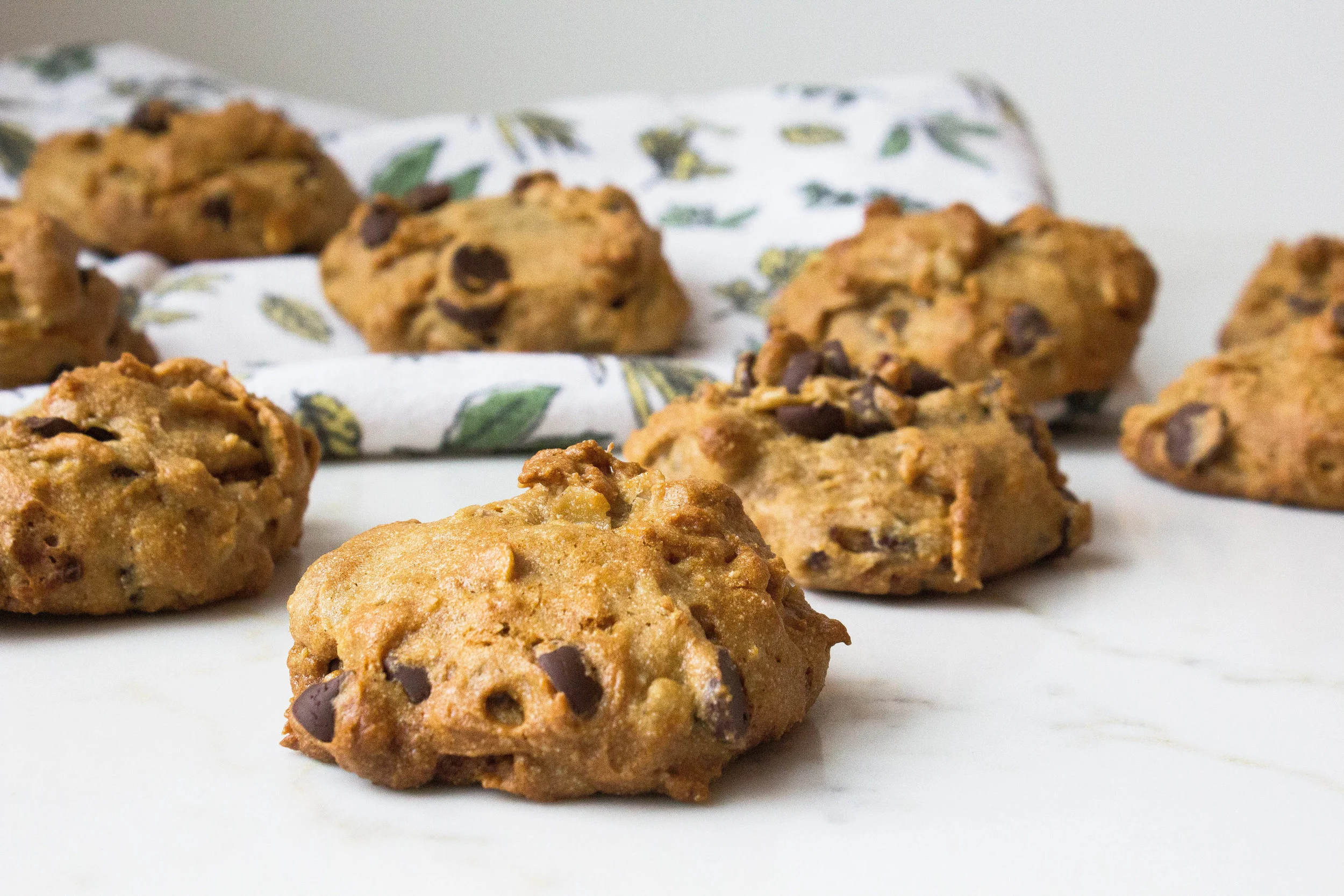 Elevated Oatmeal Cookies (gf + df)