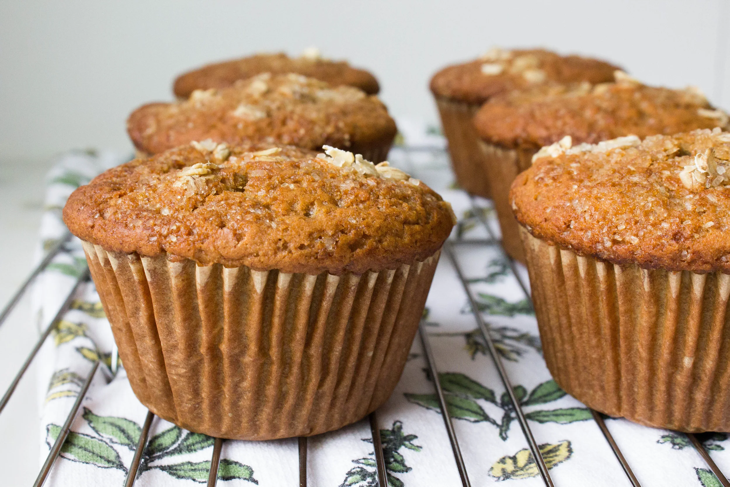 Raspberry Oat Muffins (gf + dairy free)
