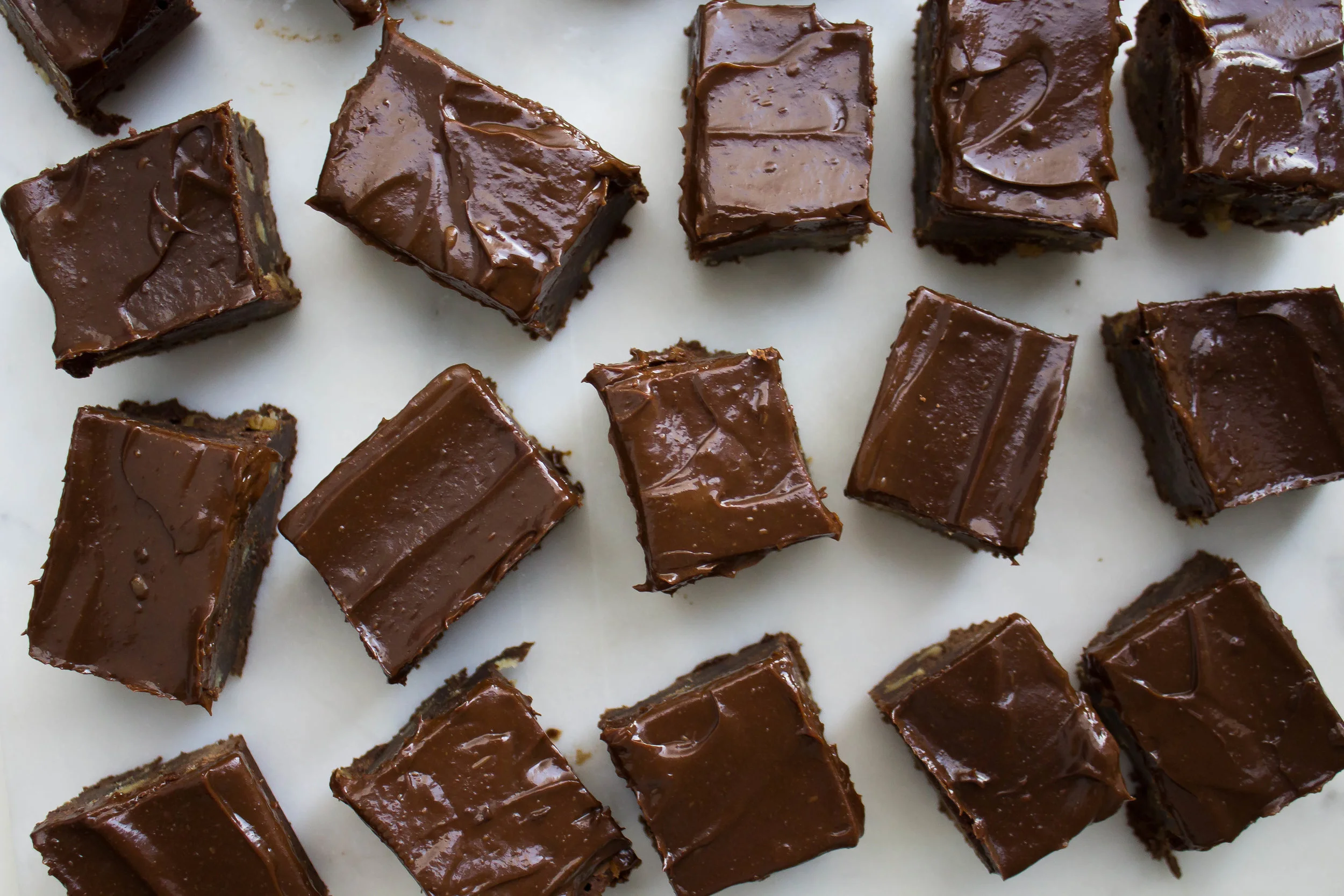 Fudgy Brownies with Chocolate Frosting (gf + df)