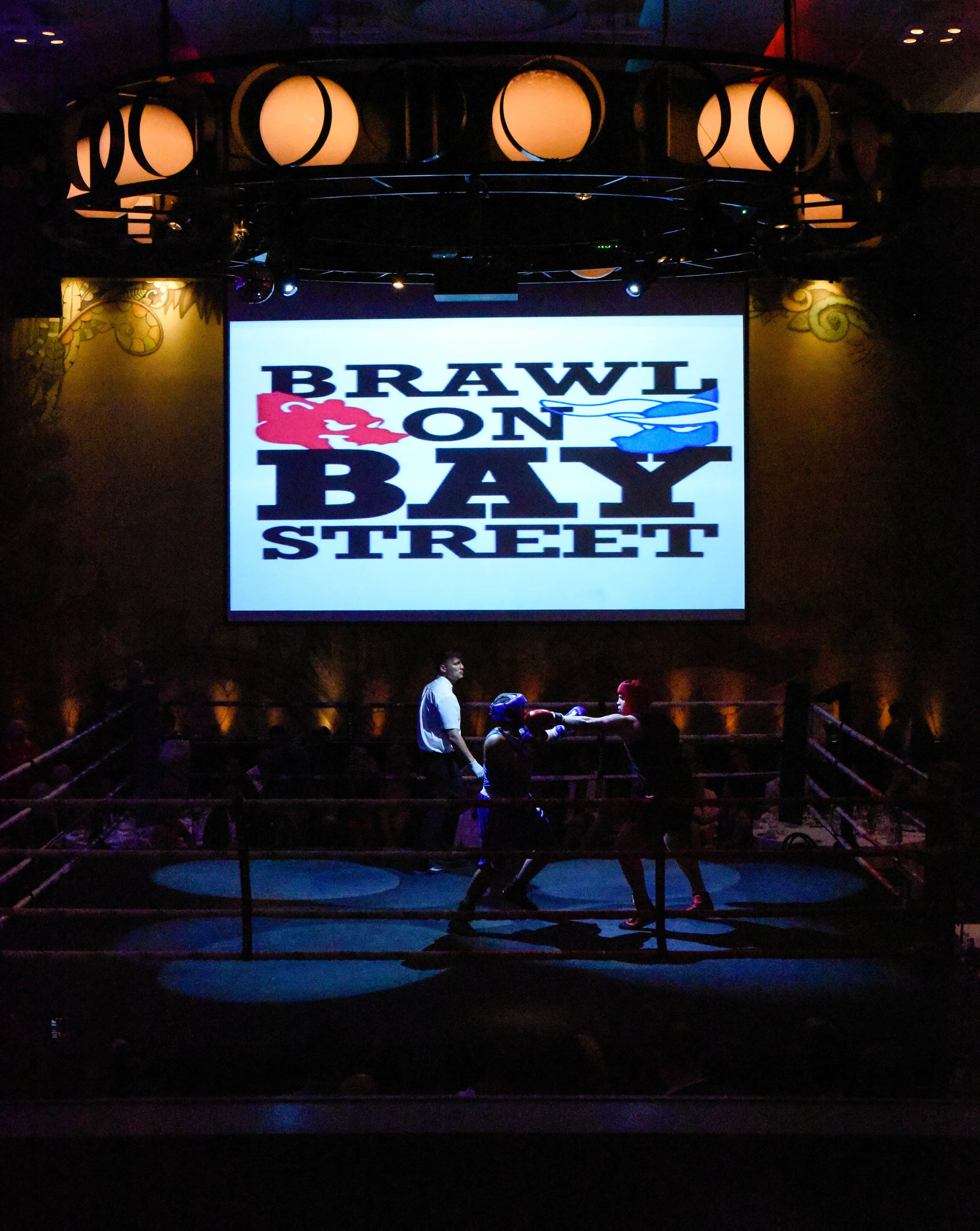 Chris - Brawl on Bay St. 8.jpg
