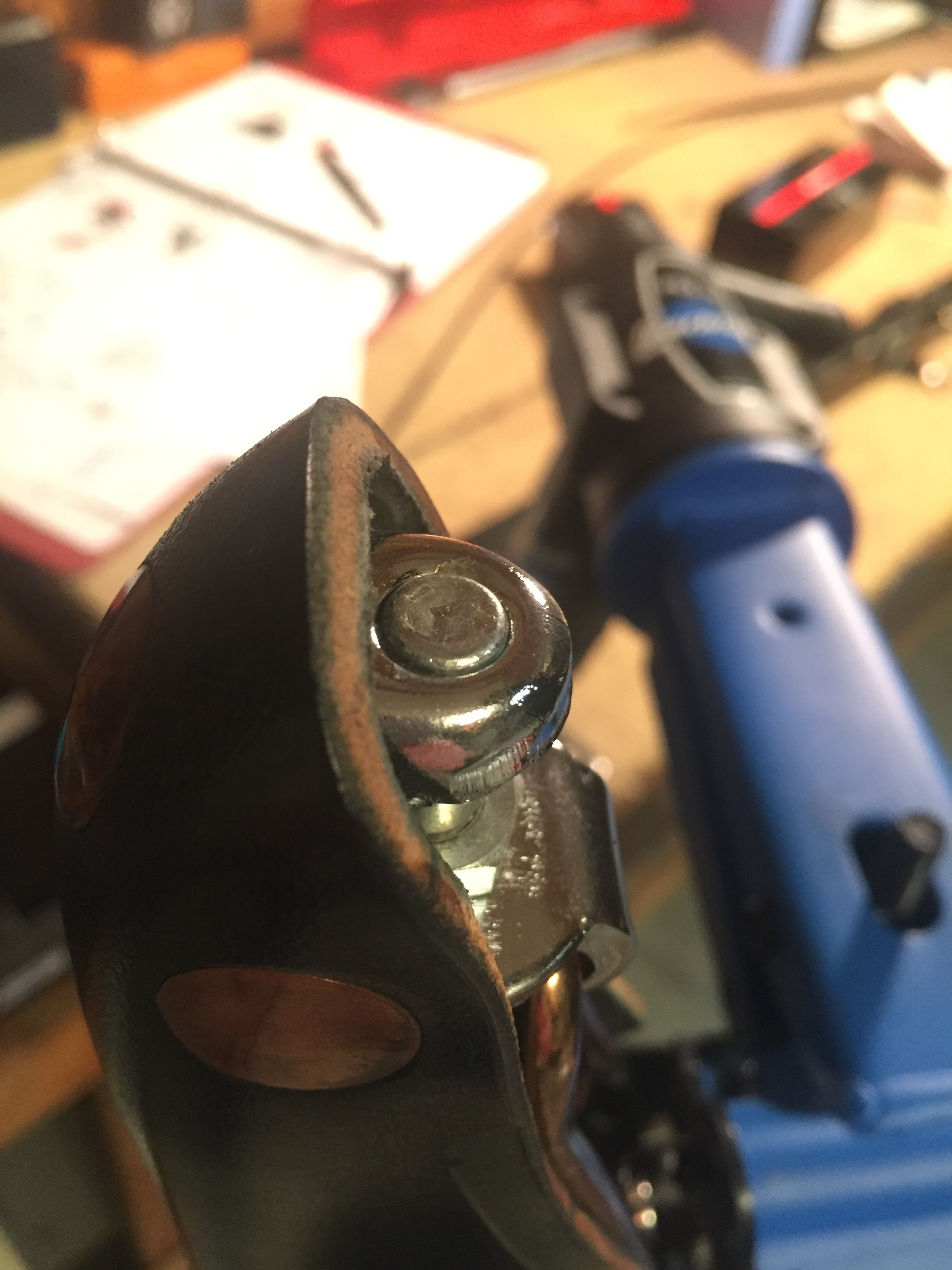 Back in the saddle