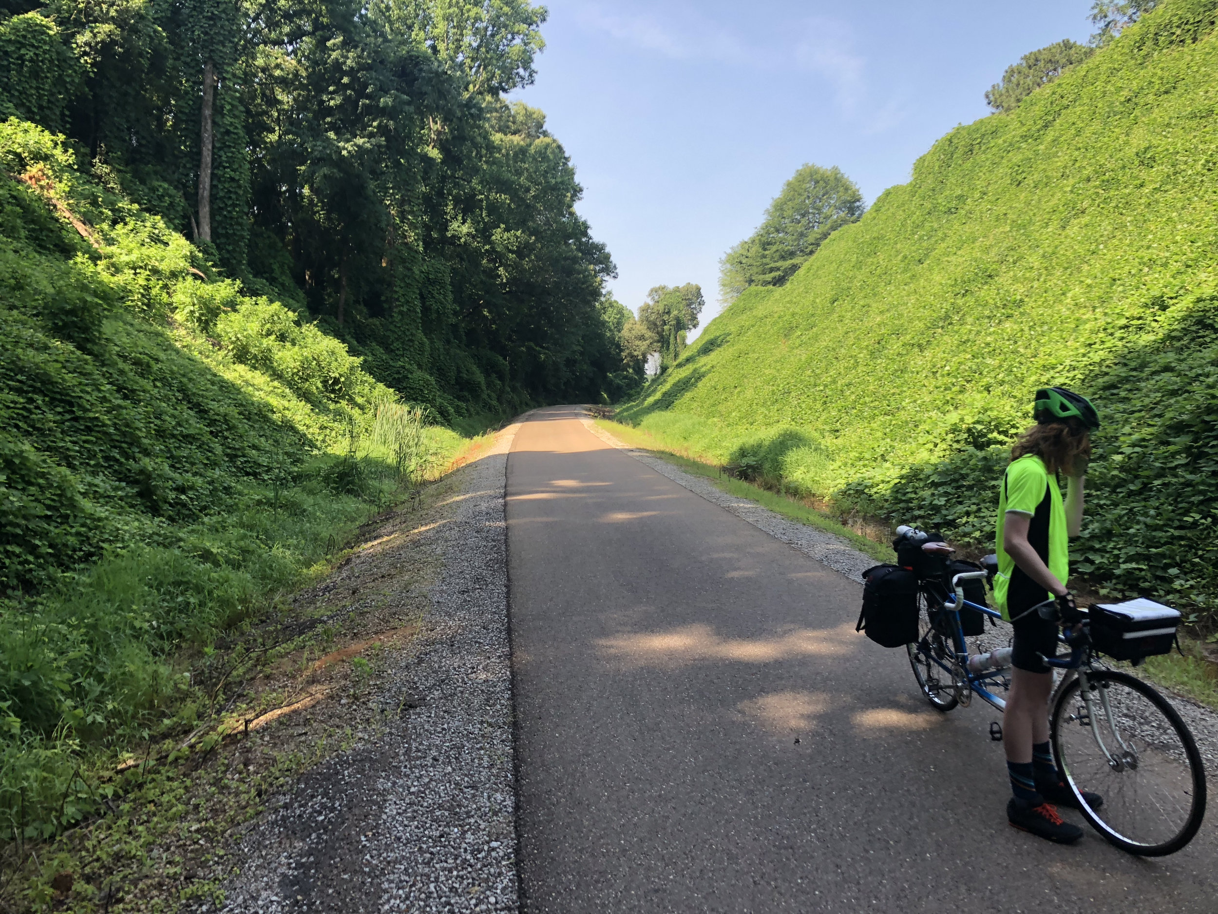 Day6Kudzu.jpg