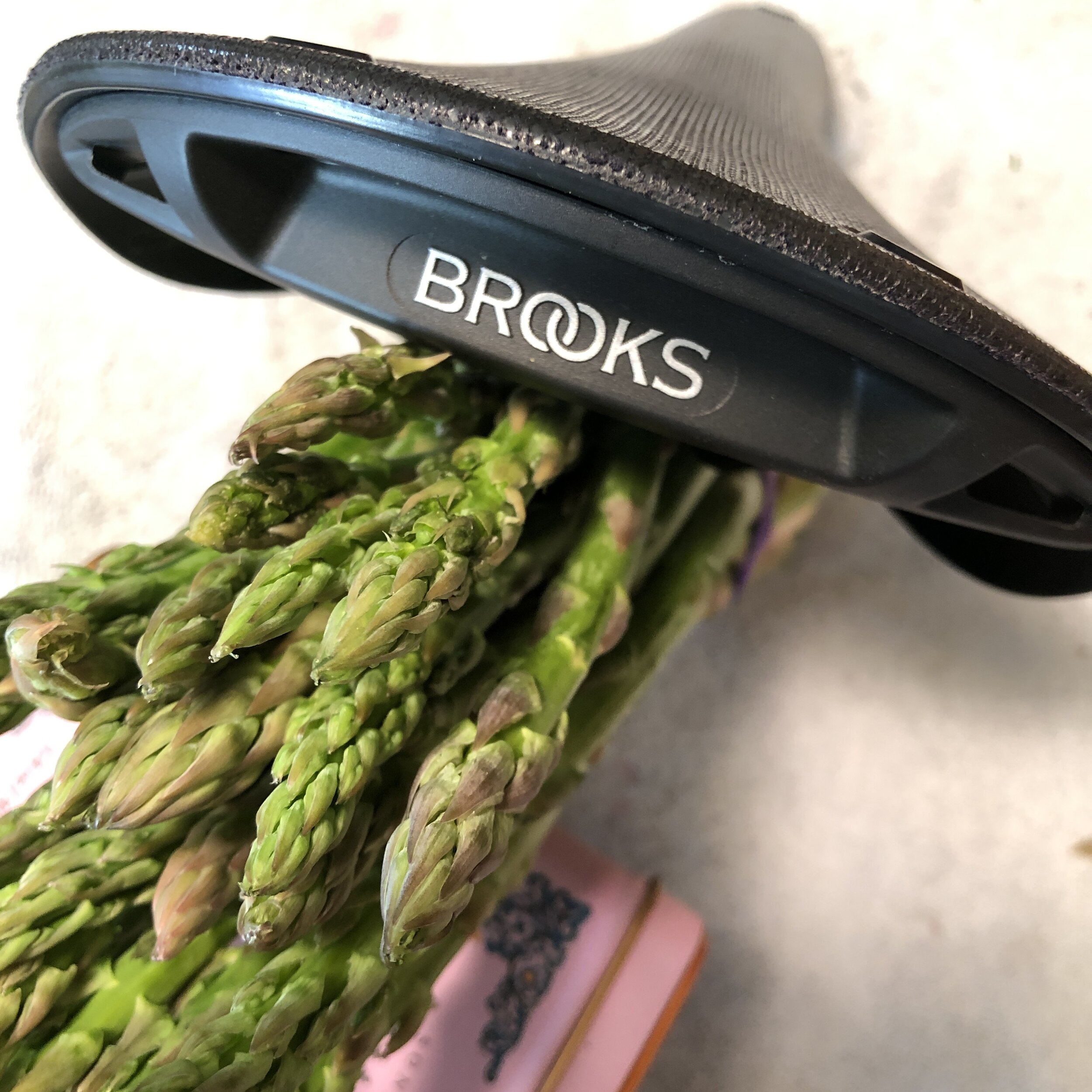 Brooks saddle asparagus.jpg