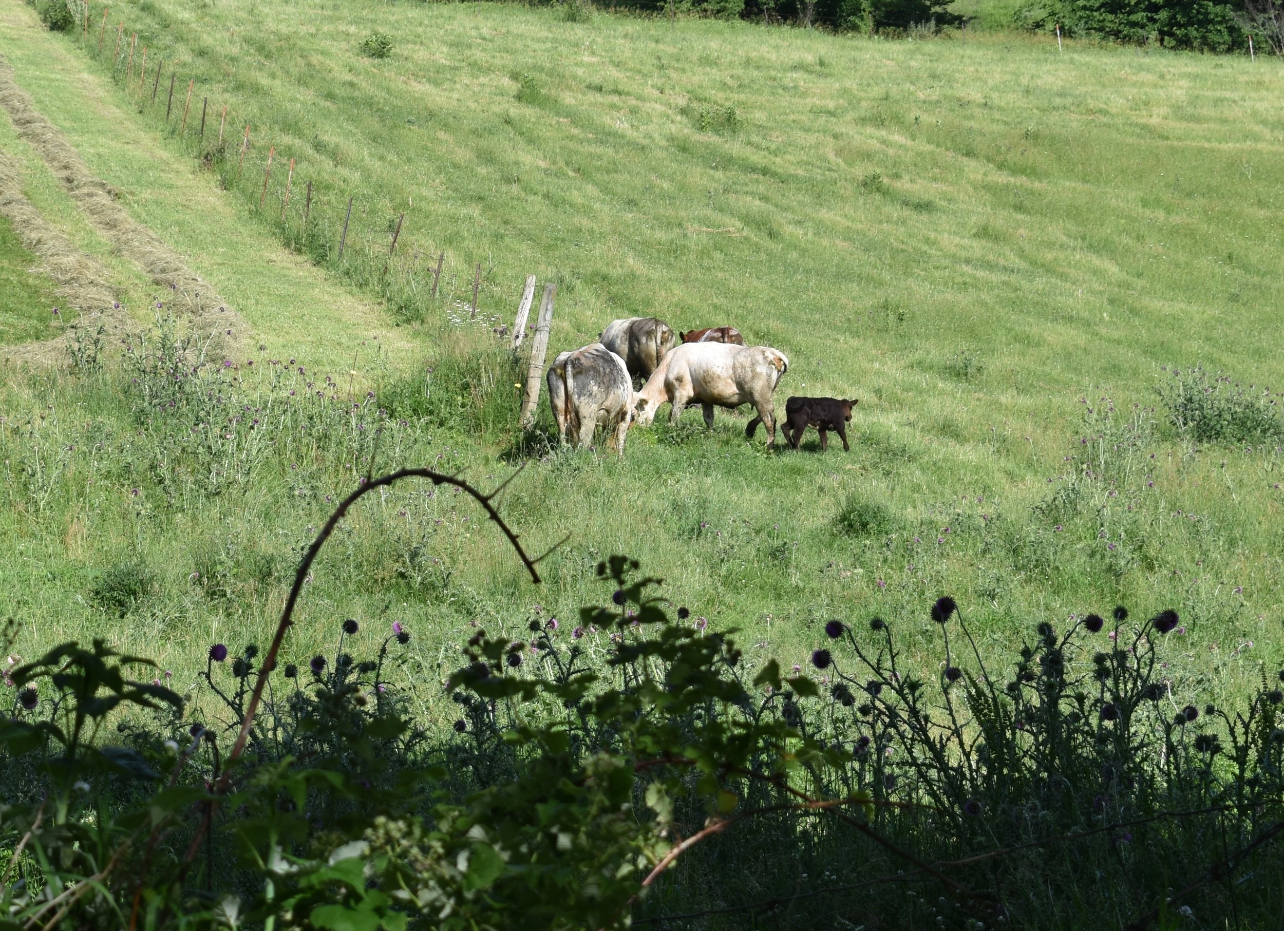  Some of the ladies 