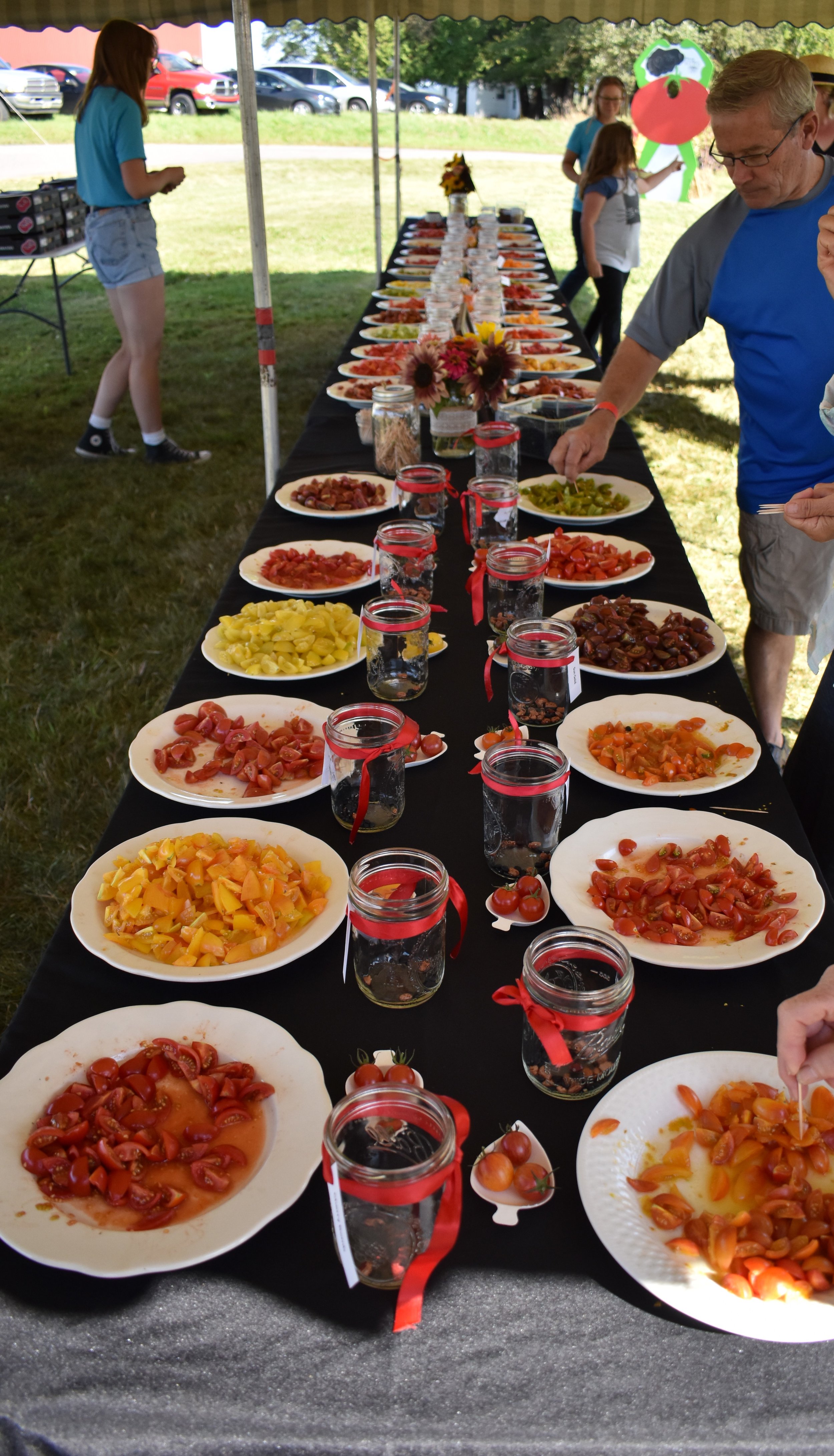  Tomato tasting 