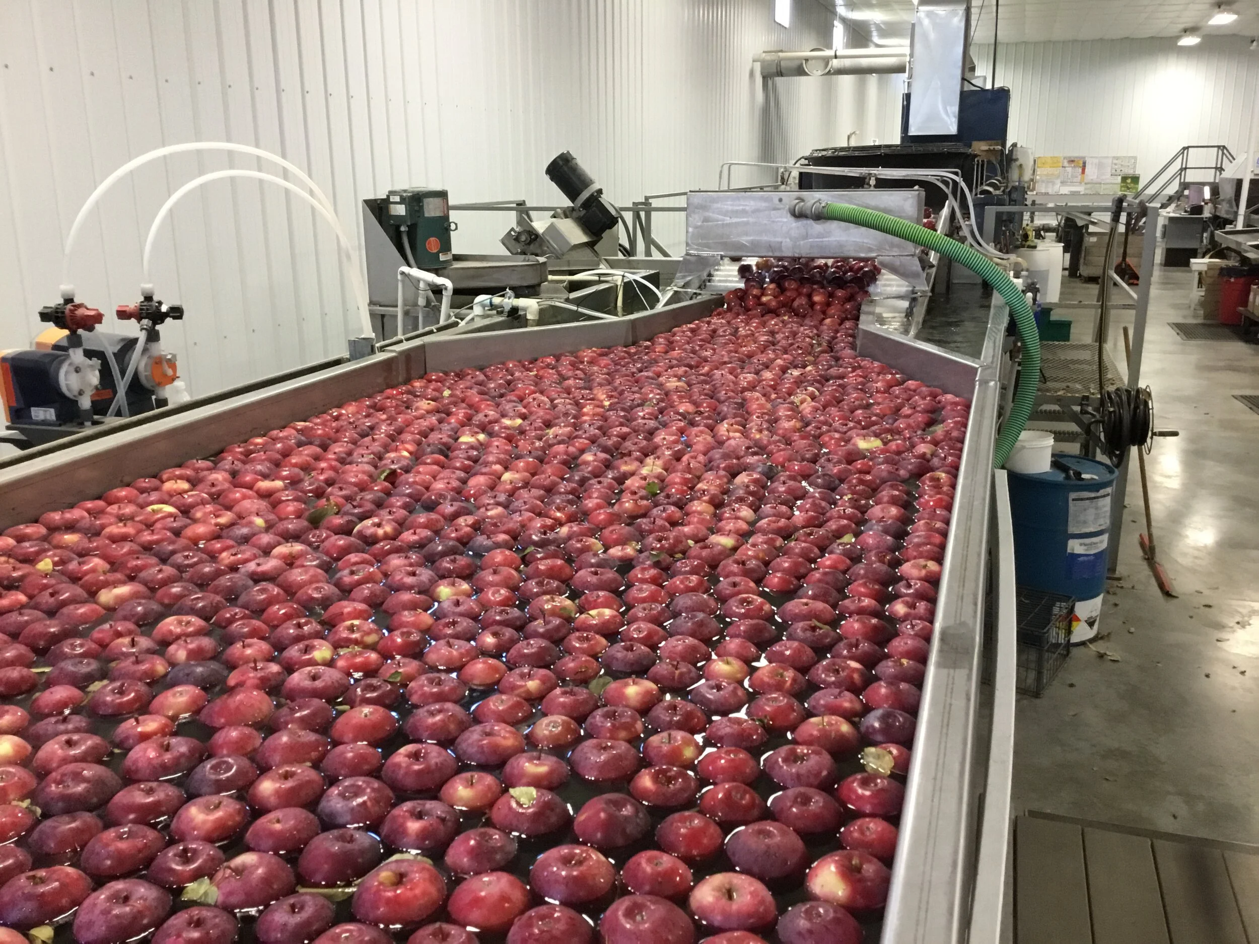 Oakwood Fruit Farm celebrates 115 years — Driftless Now